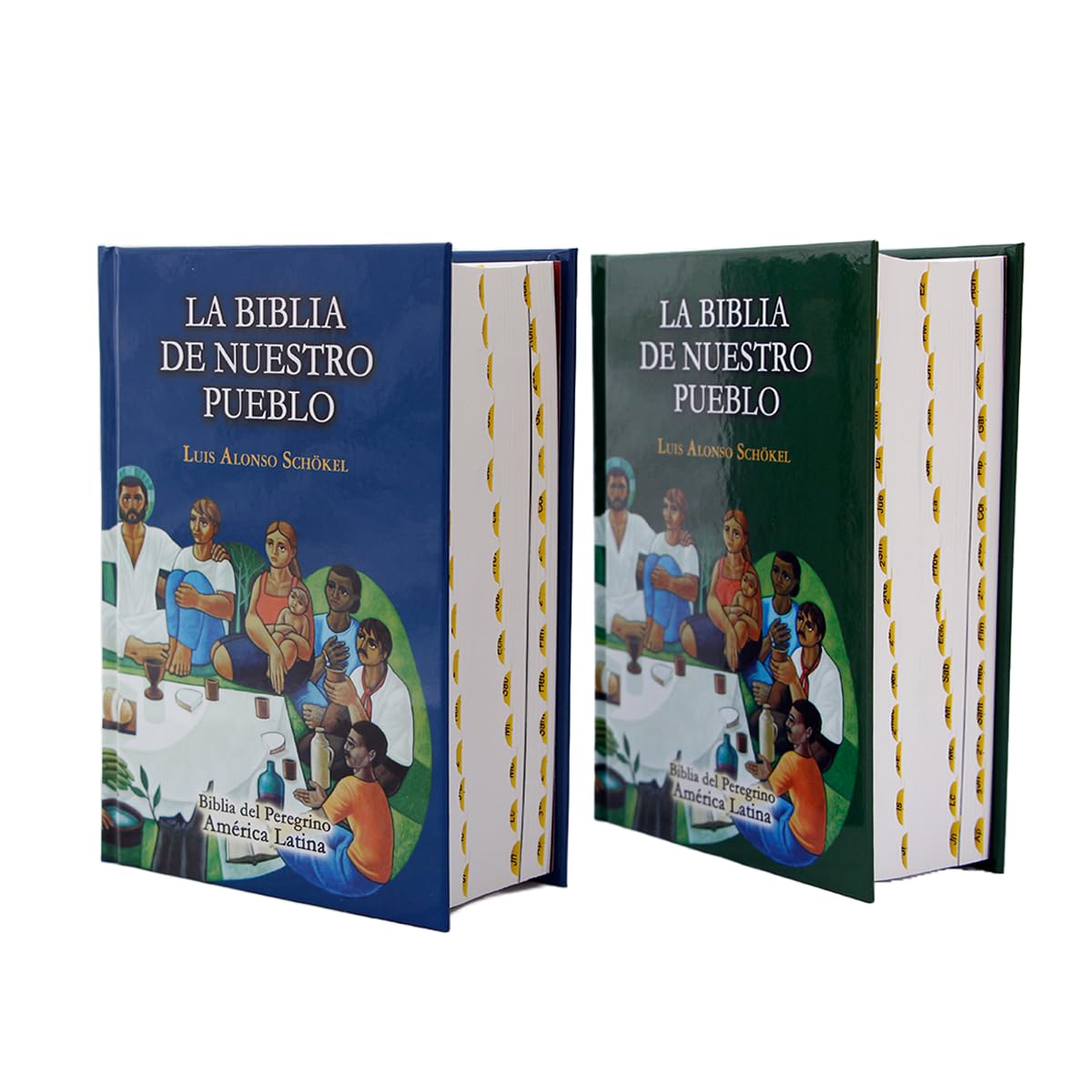 Biblia de Nuestro Pueblo Bolsillo cartoné Books