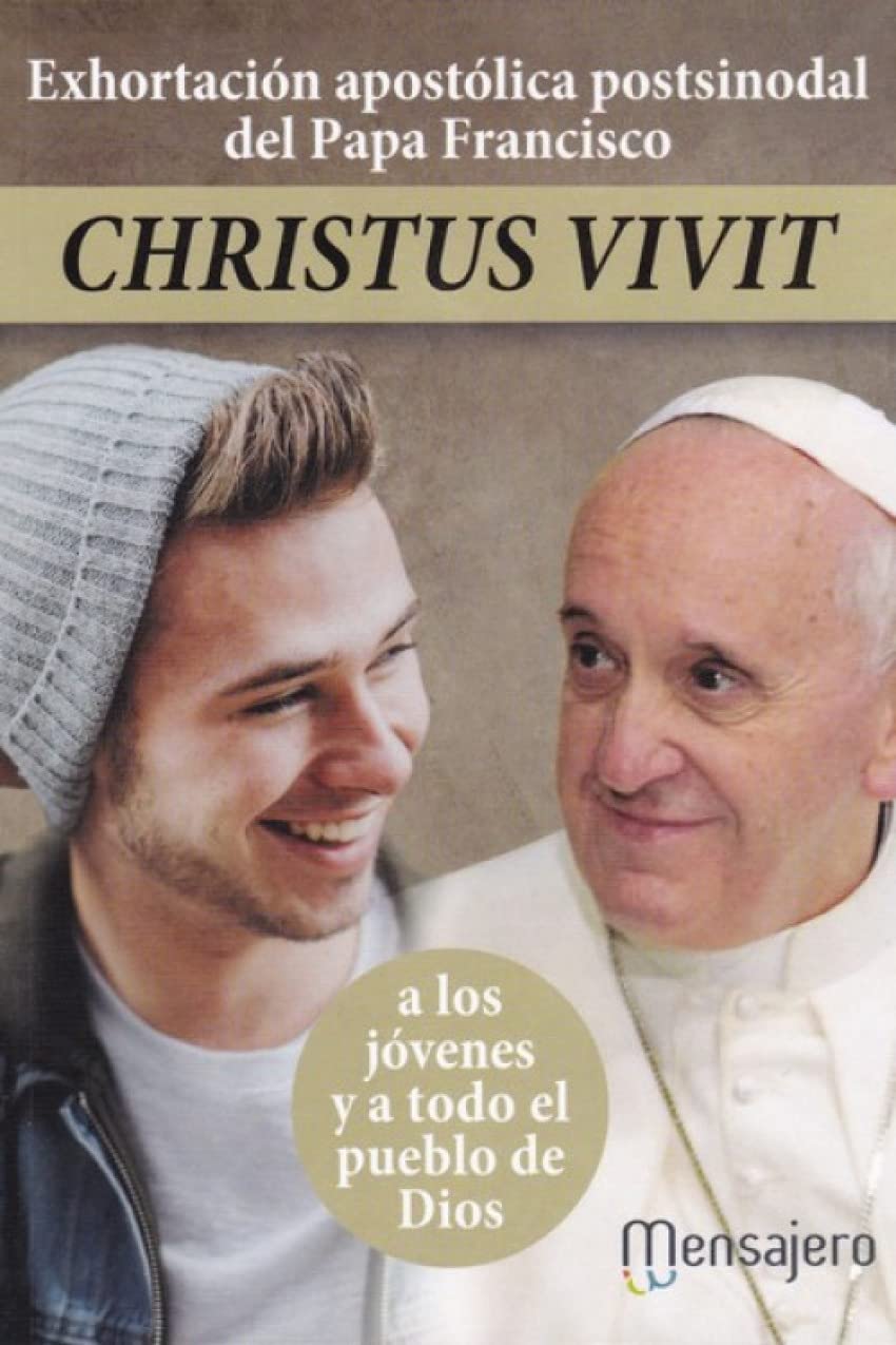 Exhortacion apostolica postsinodal del papa francisco (Alboka Euskaraz) Books