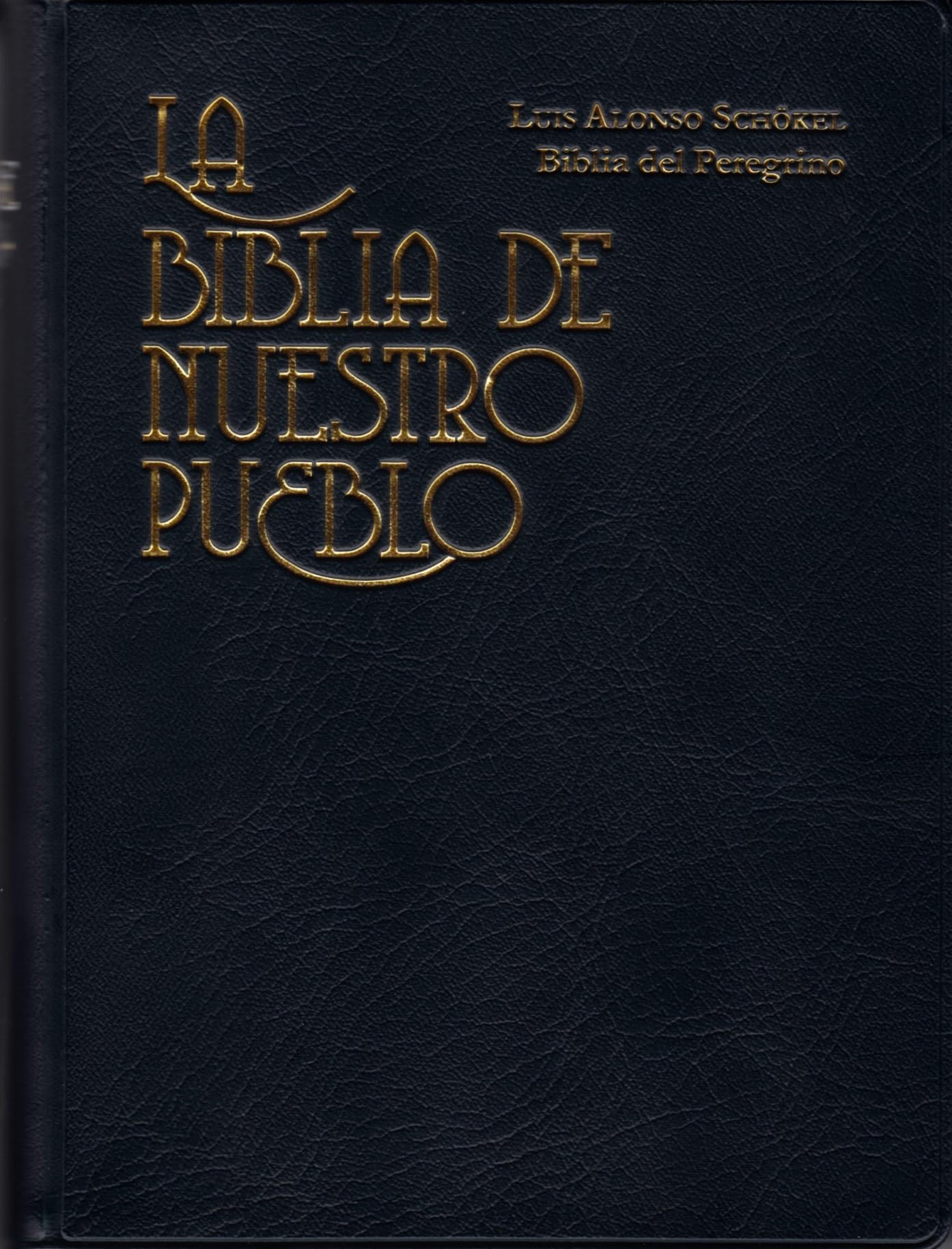 Biblia de Nuestro Pueblo - Bolsillo Vinilo book