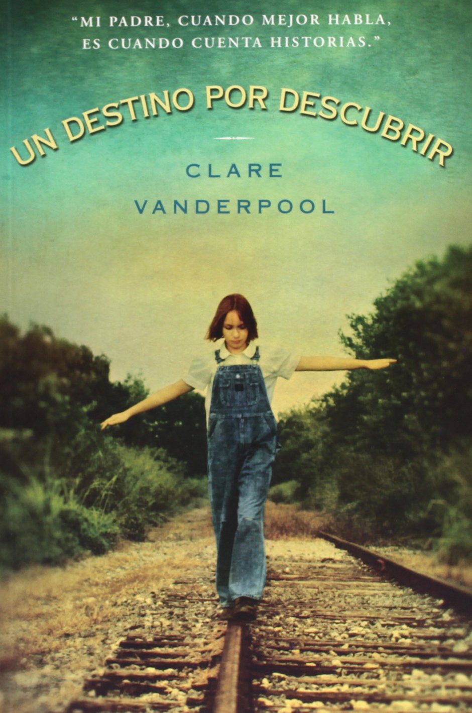 Un destino por descubrir book