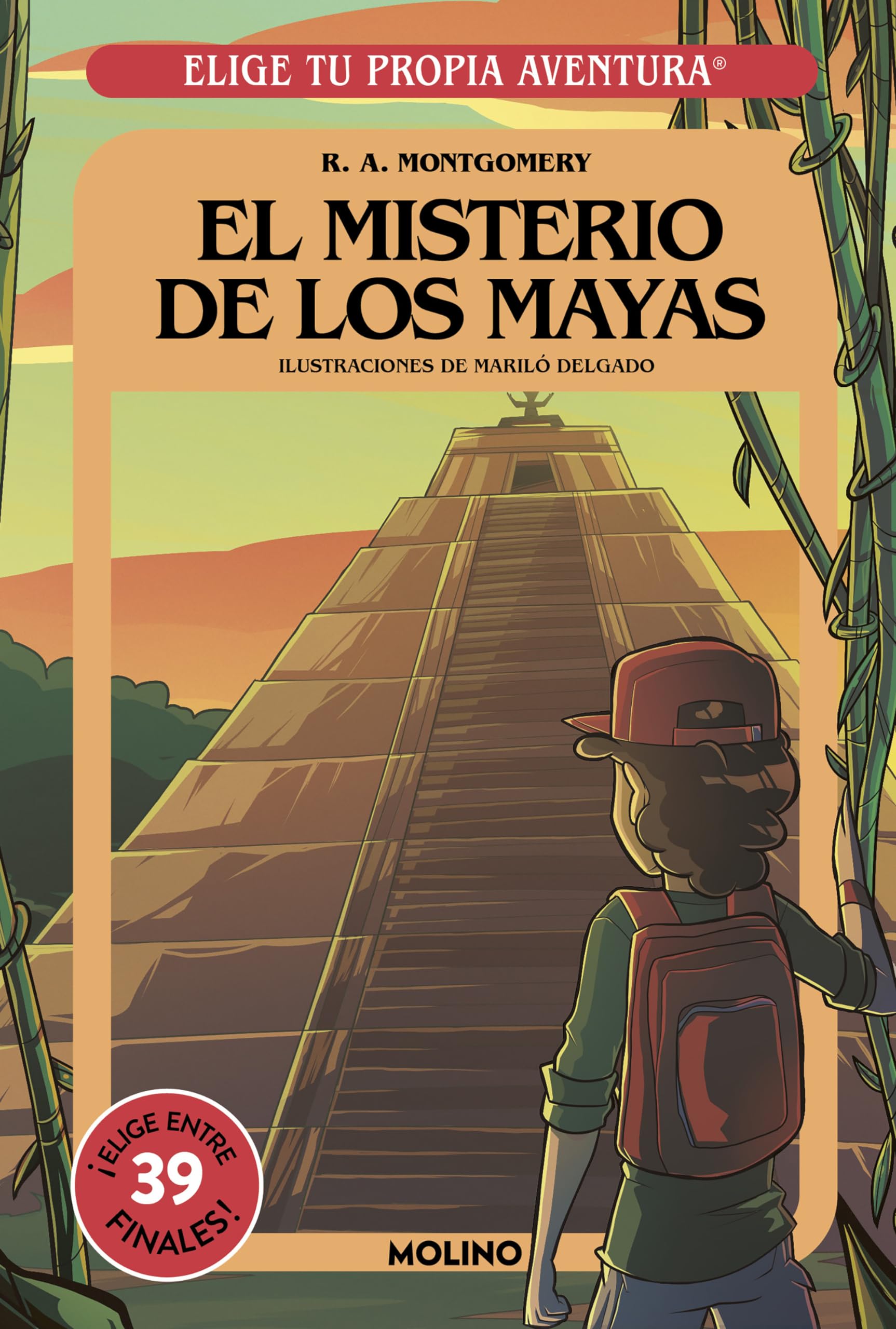 Elige tu propia aventura - El misterio de los Mayas book