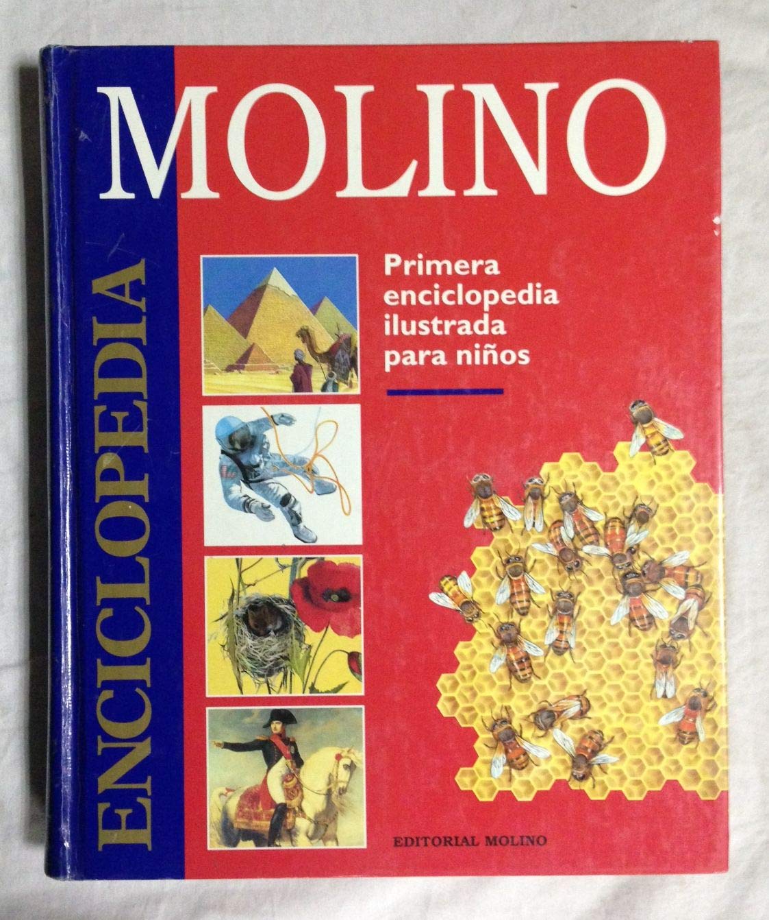 Enciclopedia molino (primera enciclopedia ilustrada para niños) book
