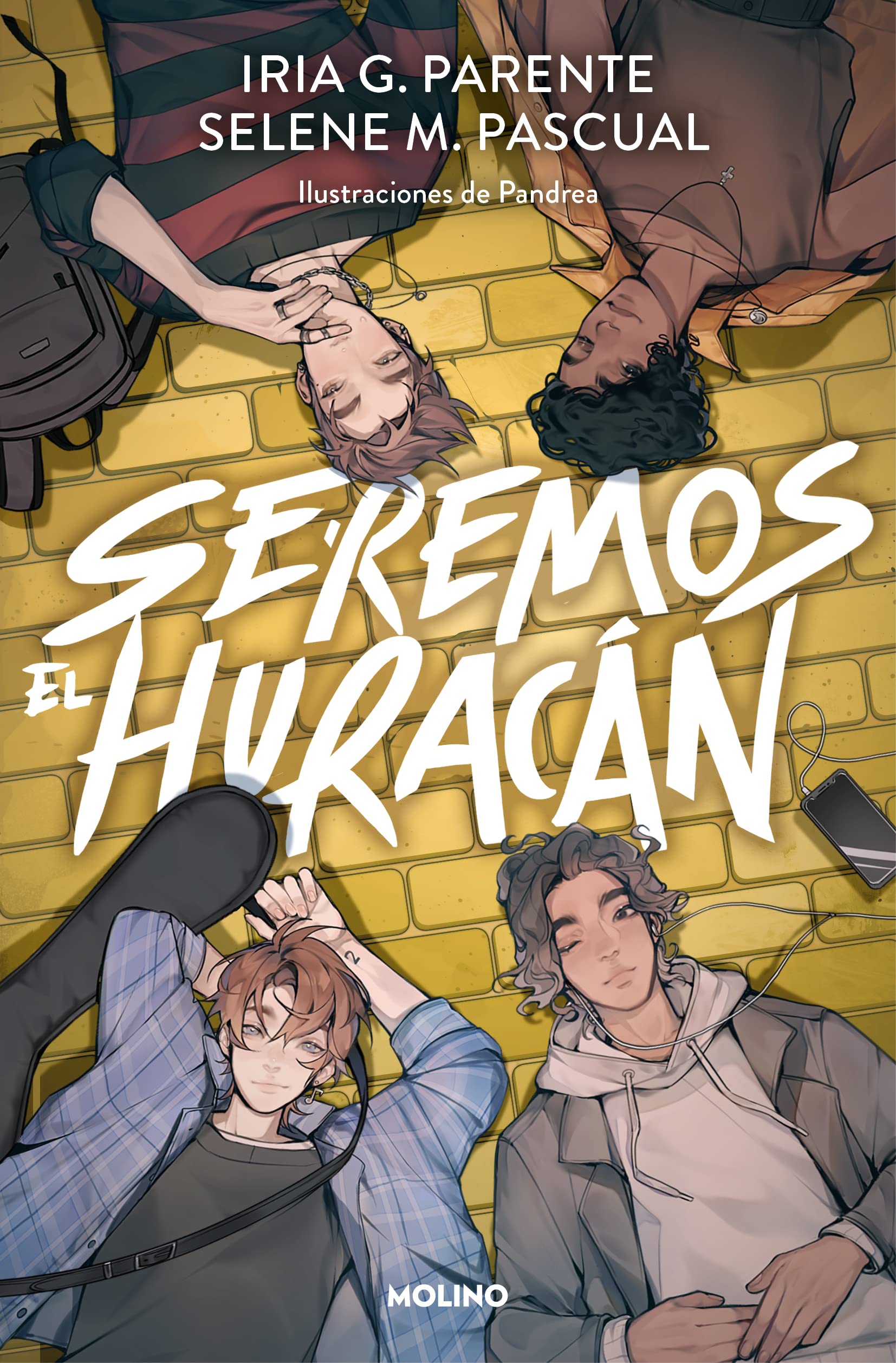 Seremos el huracán book