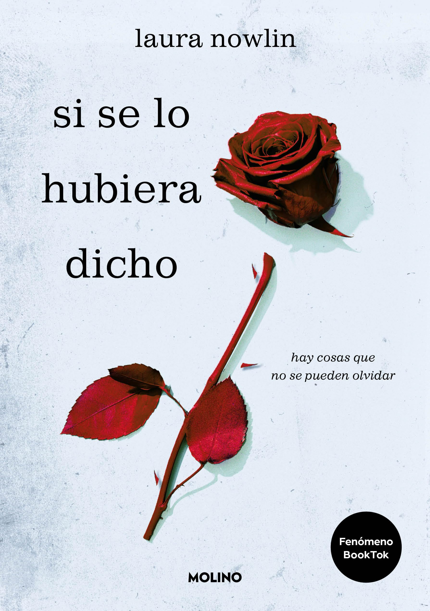Si Se Lo Hubiera Dicho / If Only I Had Told Her book