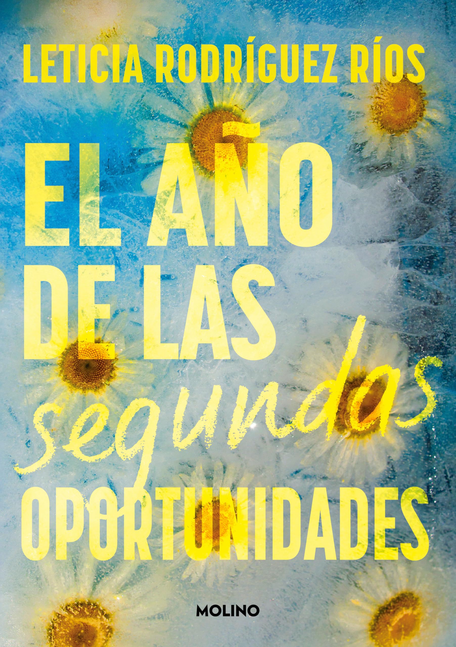 El año de las segundas oportunidades/ The Year of Second Chances book