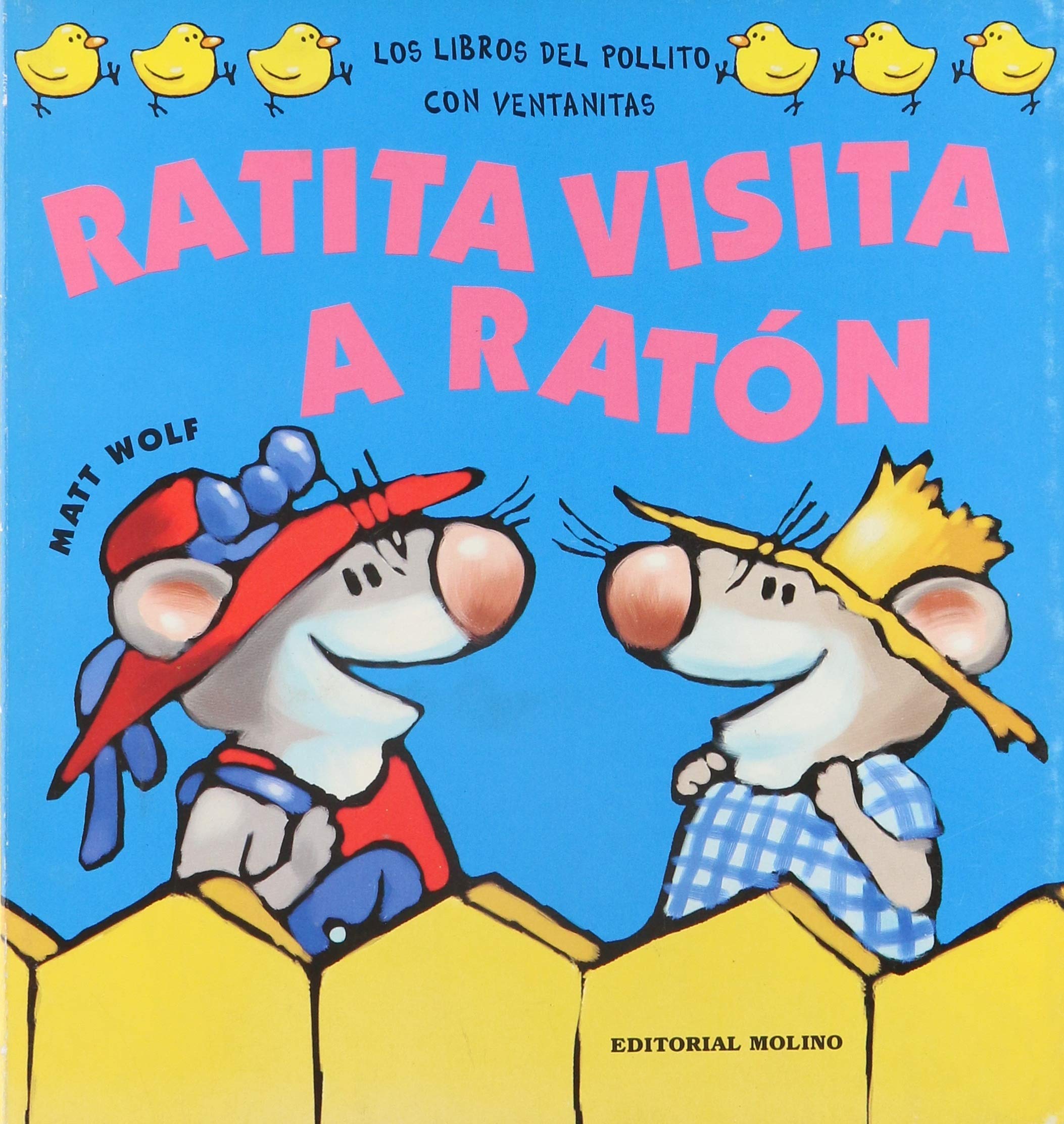 Ratita visita a raton Books