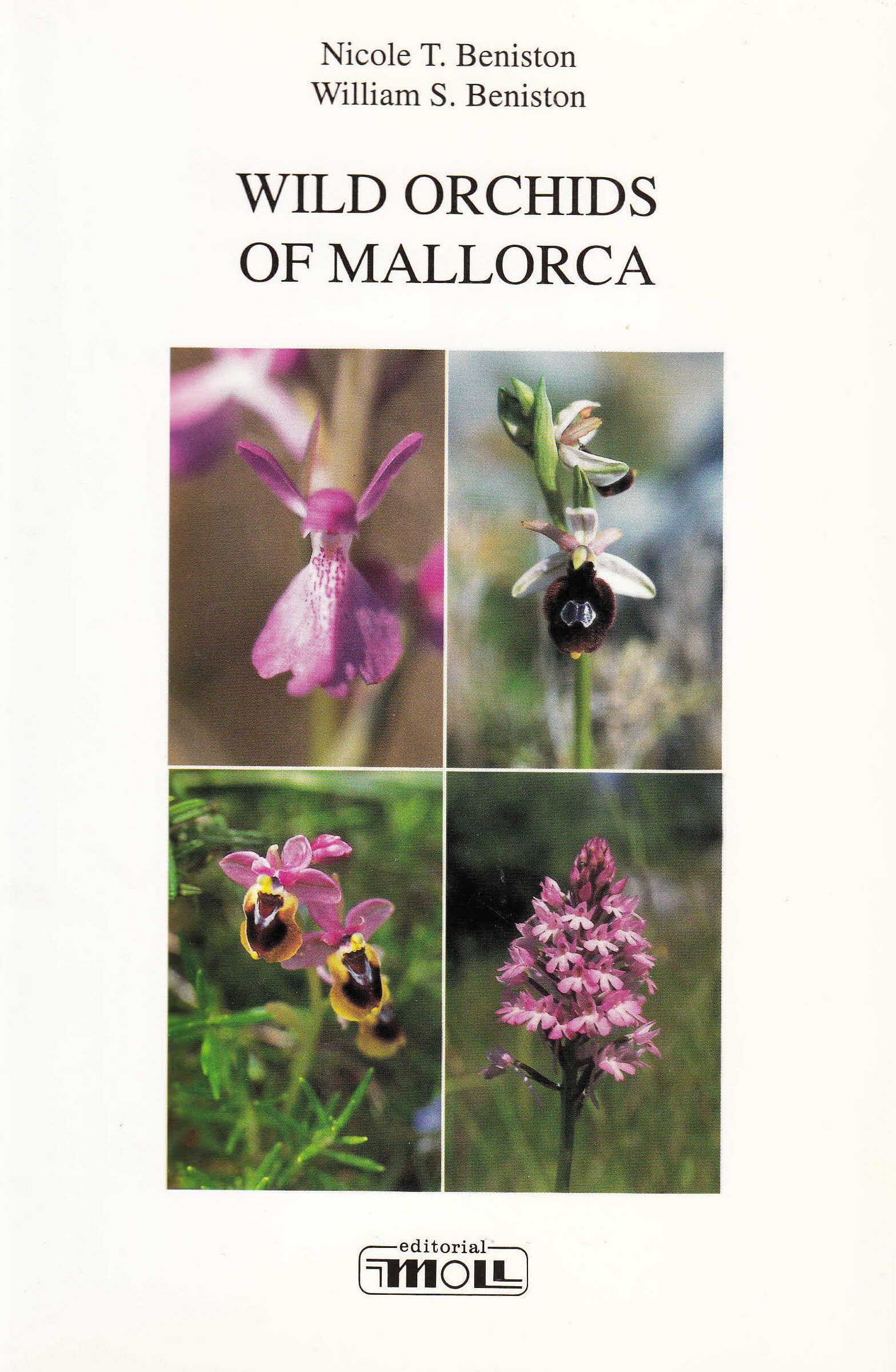 Wild orchids of Mallorca Garden & Plants