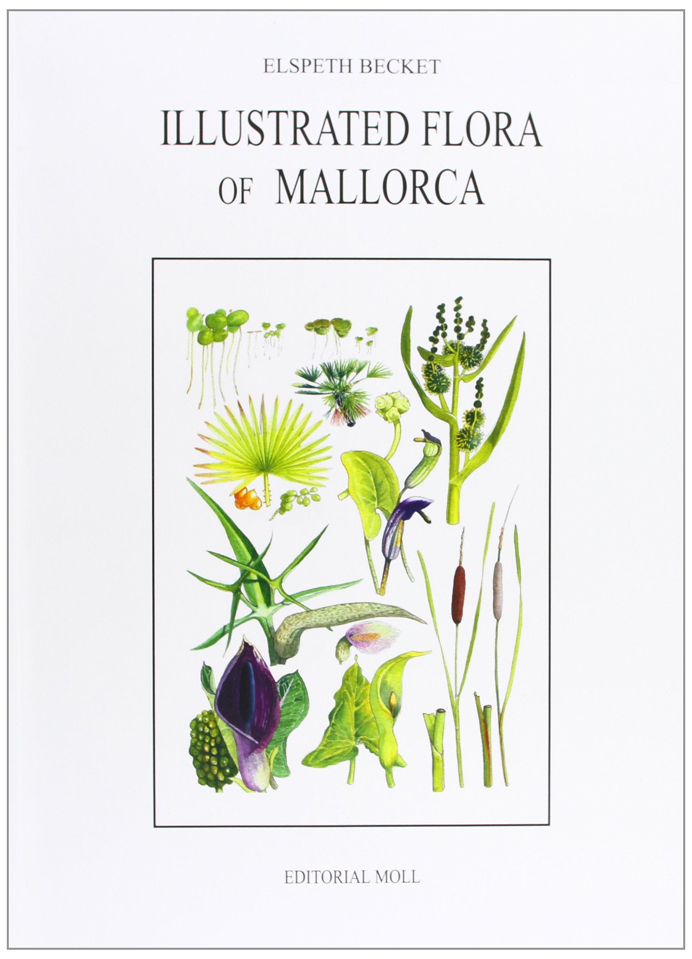 Illustrated Flora of Majorca Mathematics