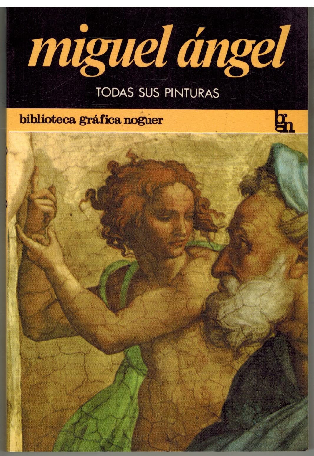 Todas las pinturas de Miguel Ángel Books