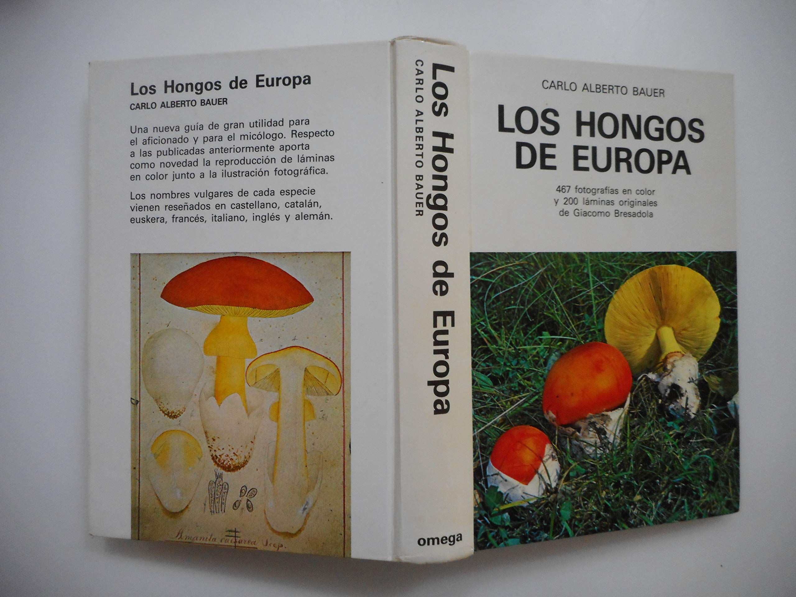 LOS HONGOS DE EUROPA book