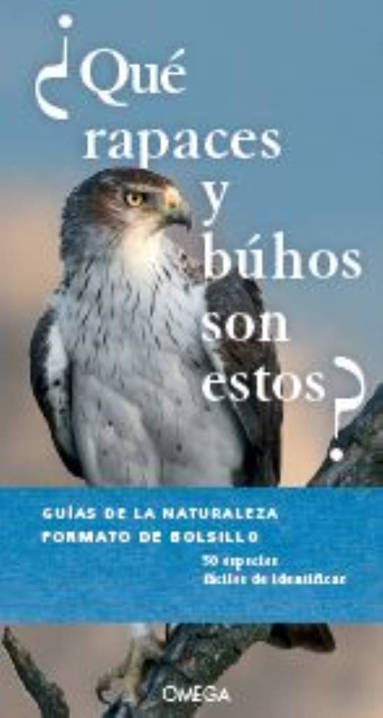 ¿QUE RAPACES Y BUHOS SON ESTOS? book