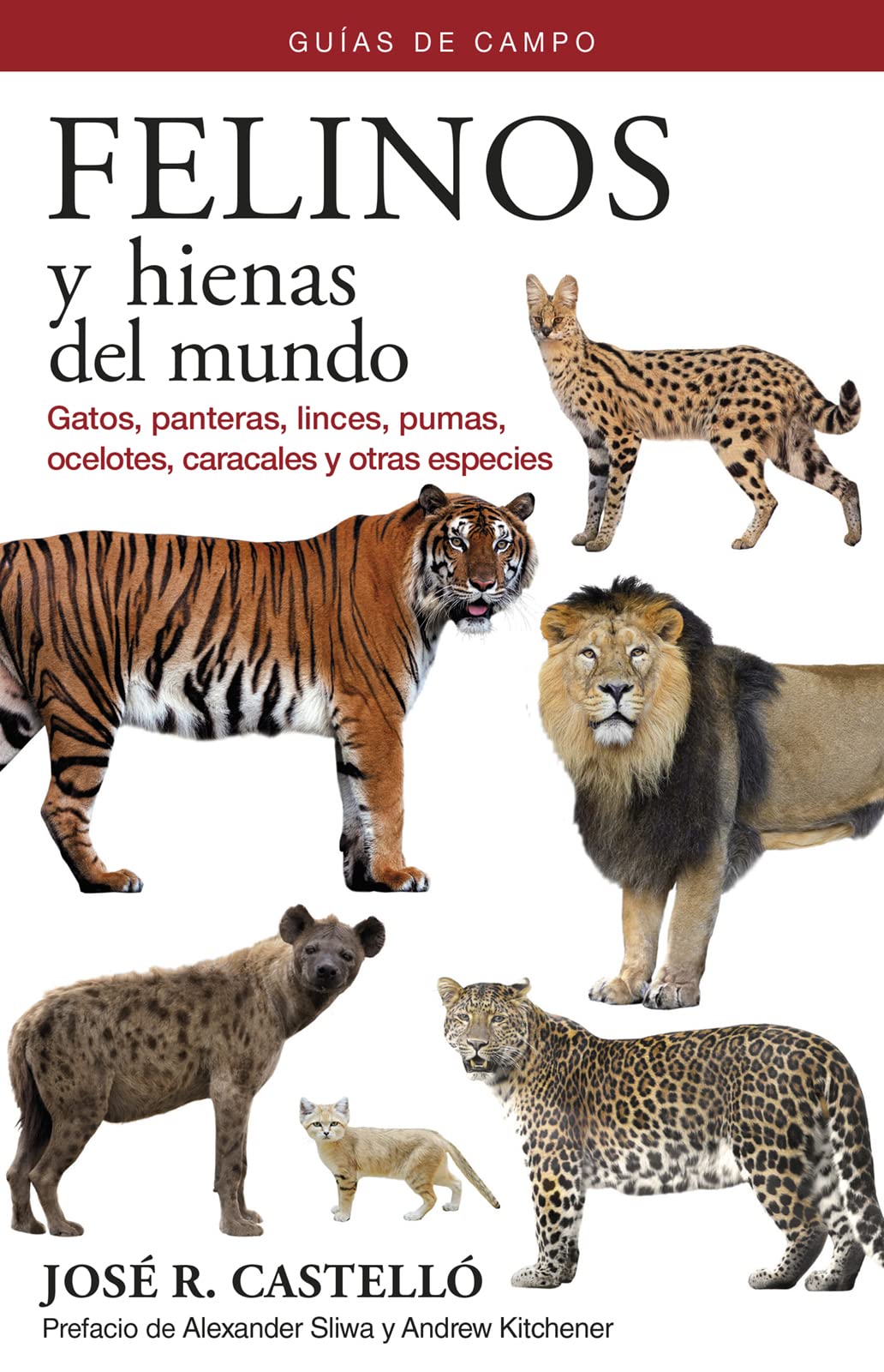 FELINOS Y HIENAS DEL MUNDO: Guías de campo (GUIAS DEL NATURALISTA, Band 20) Leisure, Home & Garden