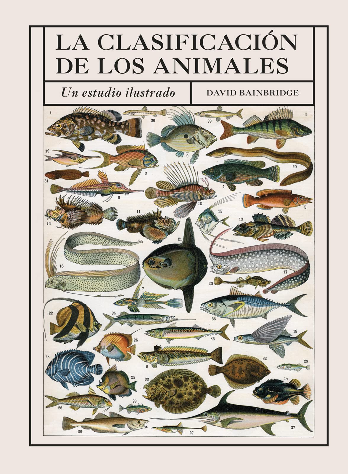 LA CLASIFICACION DE LOS ANIMALES: Un estudio ilustrado (GUIAS DEL NATURALISTA, Band 20) Books