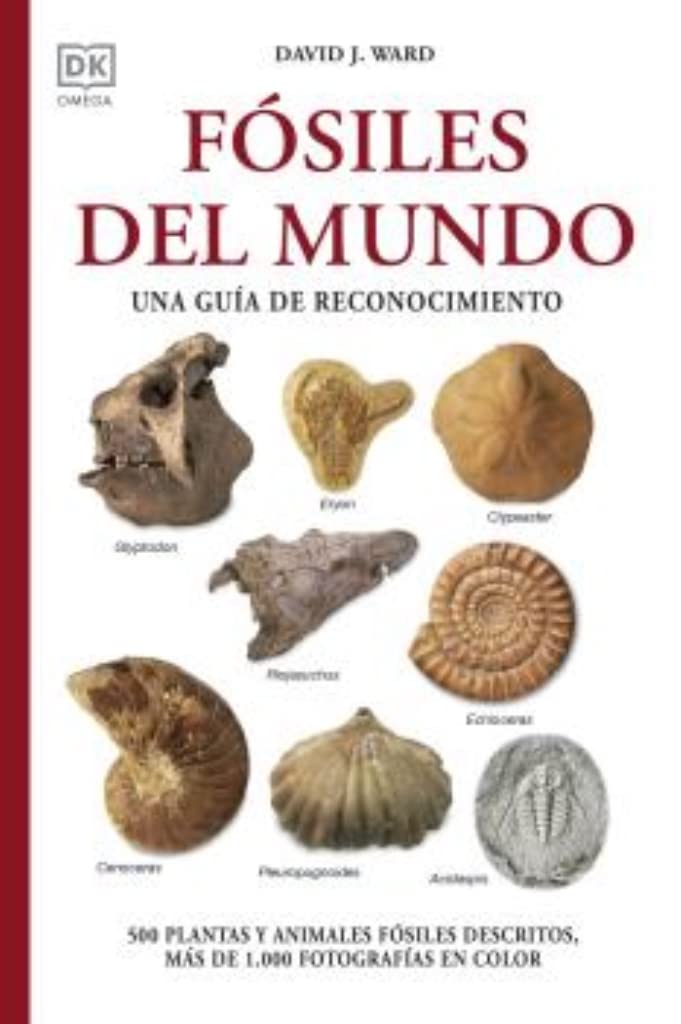 FÓSILES DEL MUNDO: Una guía de reconocimiento (GUIAS DEL NATURALISTA, Band 20) Leisure, Home & Garden