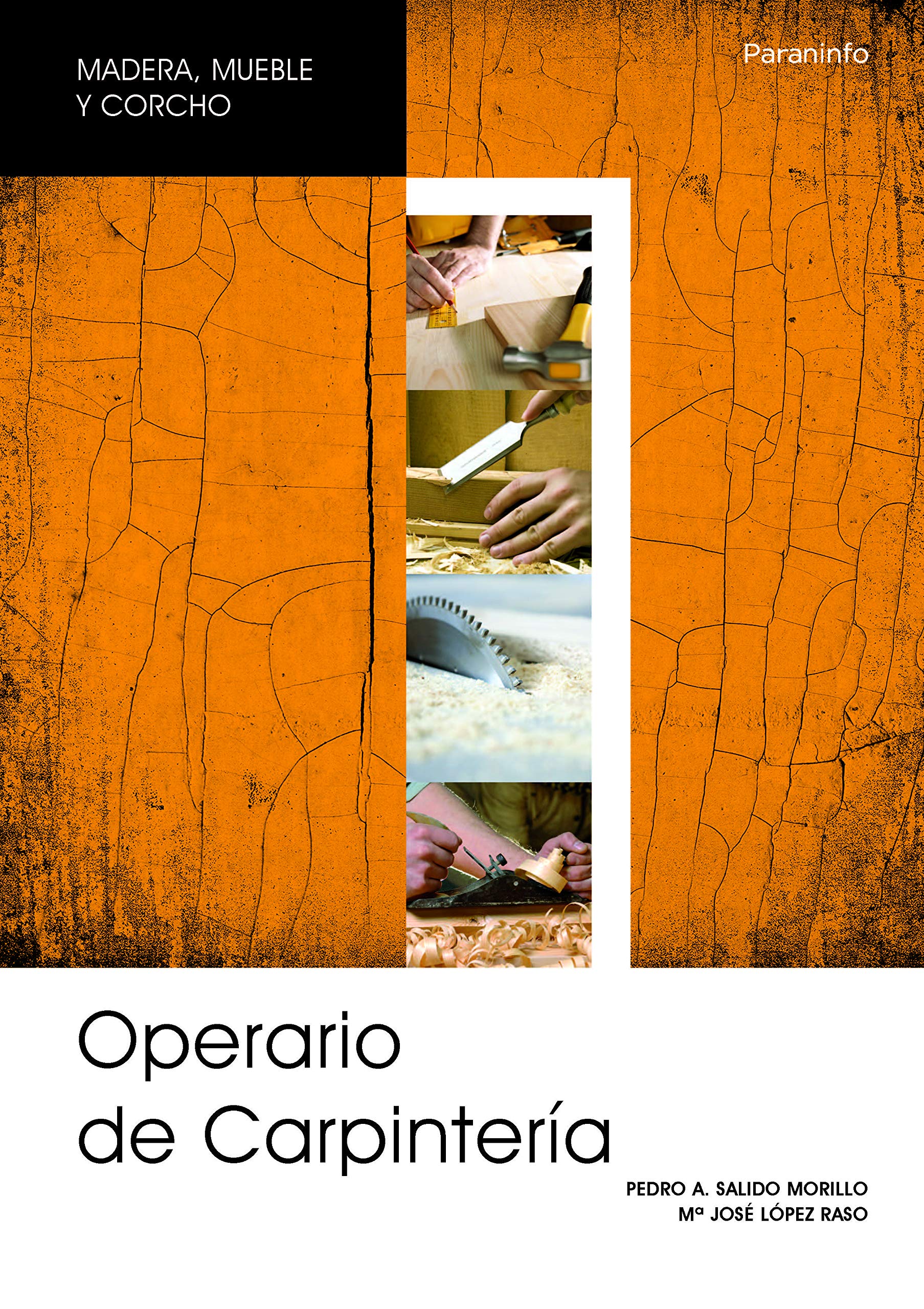 Operario de carpintería, garantía social (Oficios) Media & Communication