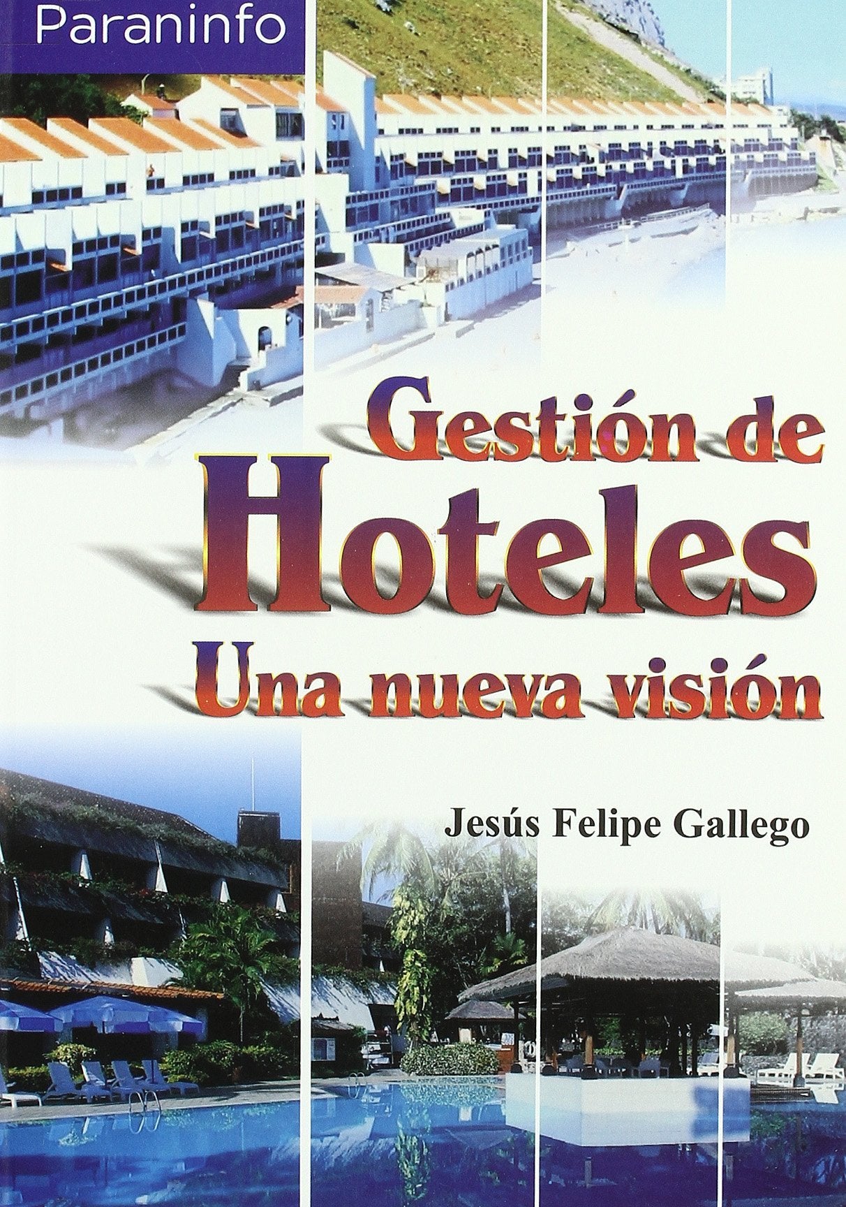 Gestion de Hoteles Una Nueva Vision book