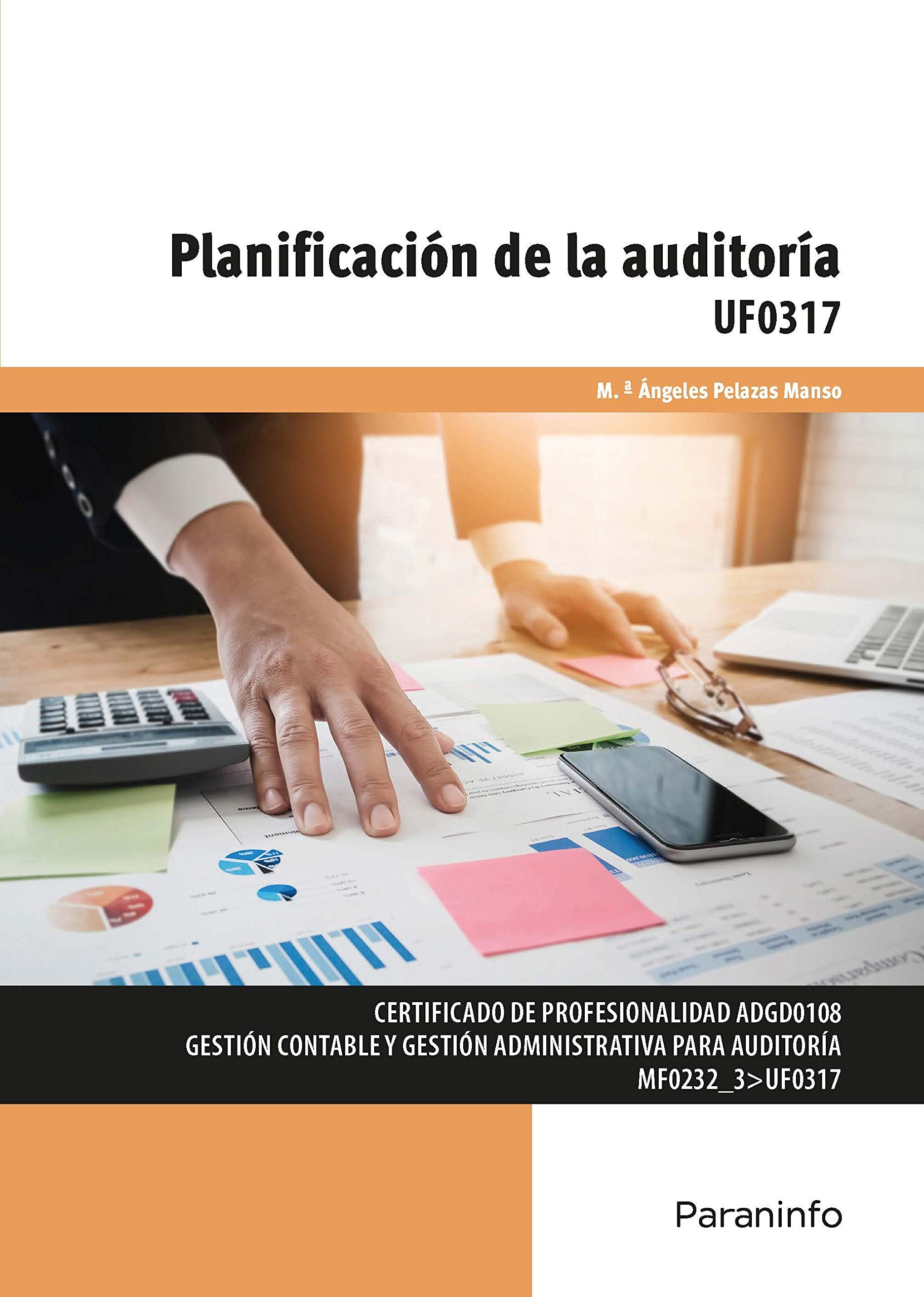 Planificación de la auditoría book