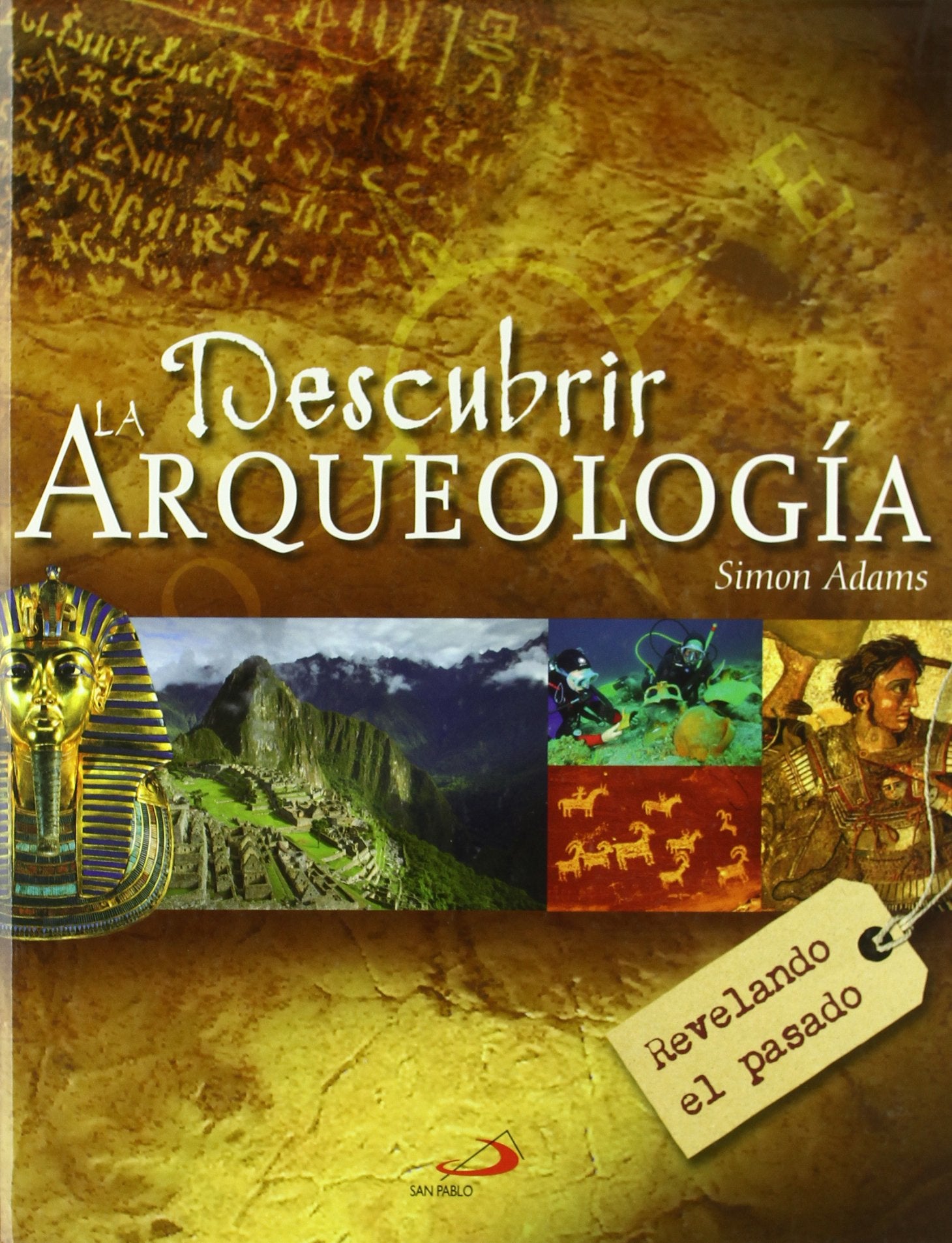 Descubrir la arqueología: Revelando el pasado (Grandes libros) Social Sciences
