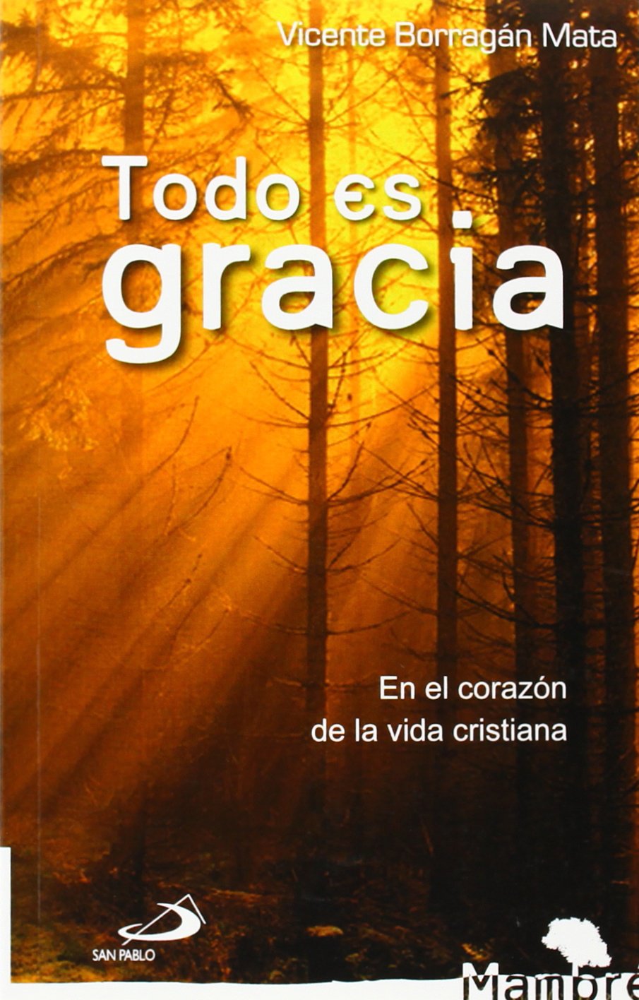 Todo es gracia : en el corazón de la vida cristiana (Mambré, Band 8) Religion & Esotericism