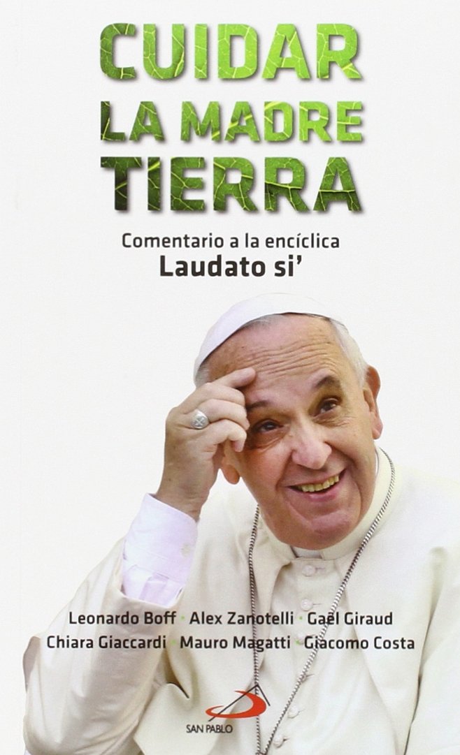 Cuidar la madre tierra: Comentario a la encíclica Laudato si' del Papa Francisco book
