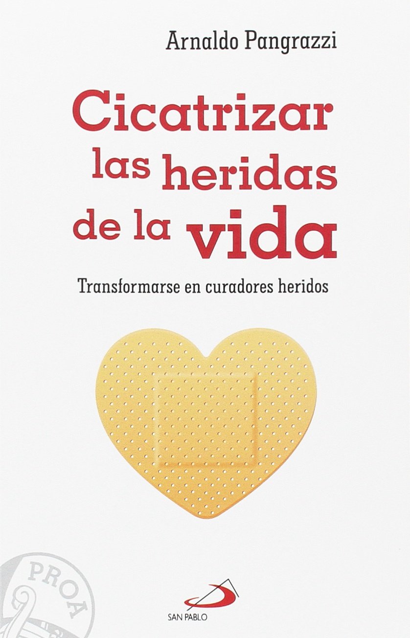 Cicatrizar las heridas de la vida : transformarse en curadores heridos (Proa, Band 18) Religion & Esotericism