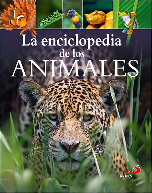 La enciclopedia de los animales (Conocimiento y consulta) Non-fiction