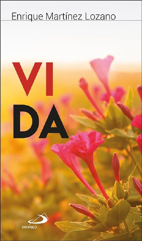 Vida (Adentro, Band 15) Religion & Esotericism