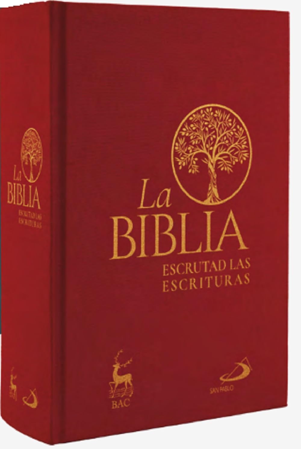 La Biblia. Escrutad las Escrituras Religion & Esotericism