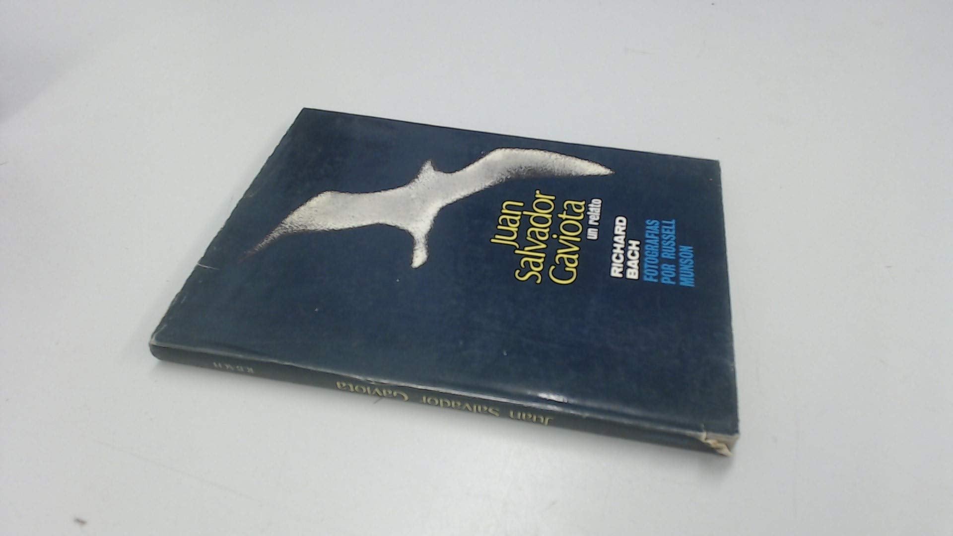 Juan Salvador Gaviota book