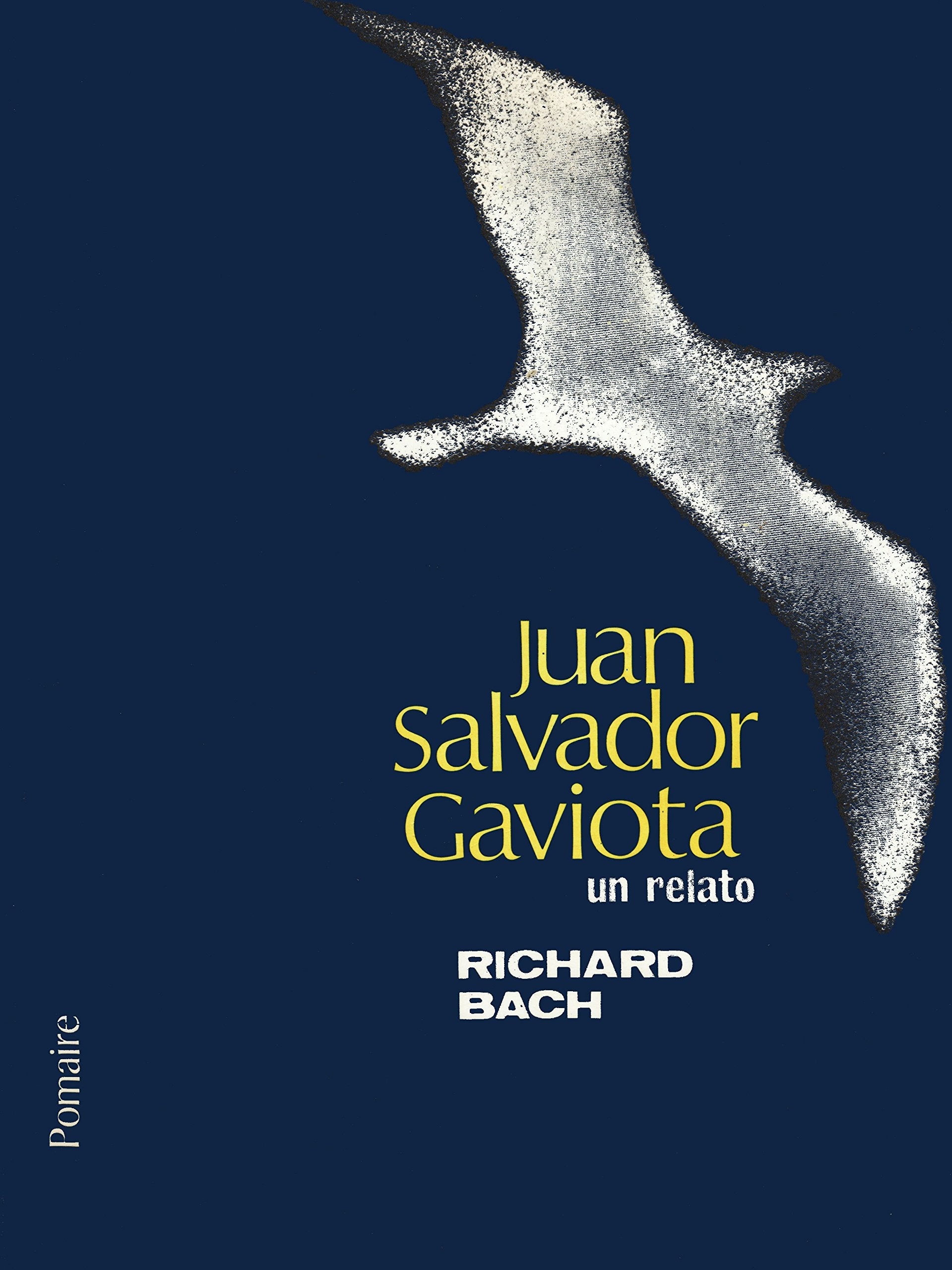 Juan Salvador gaviota book