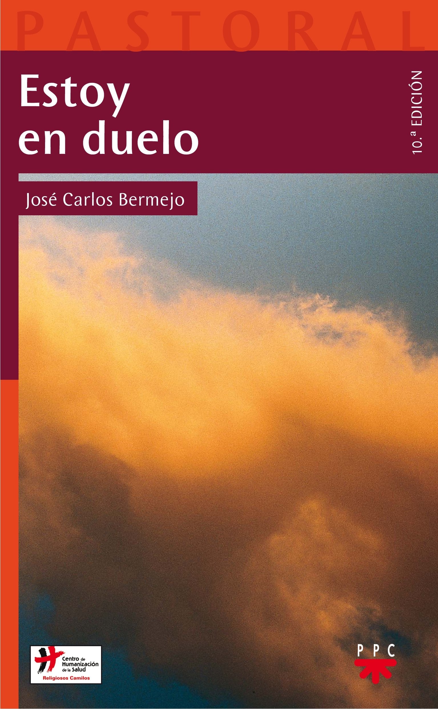 Estoy en duelo book