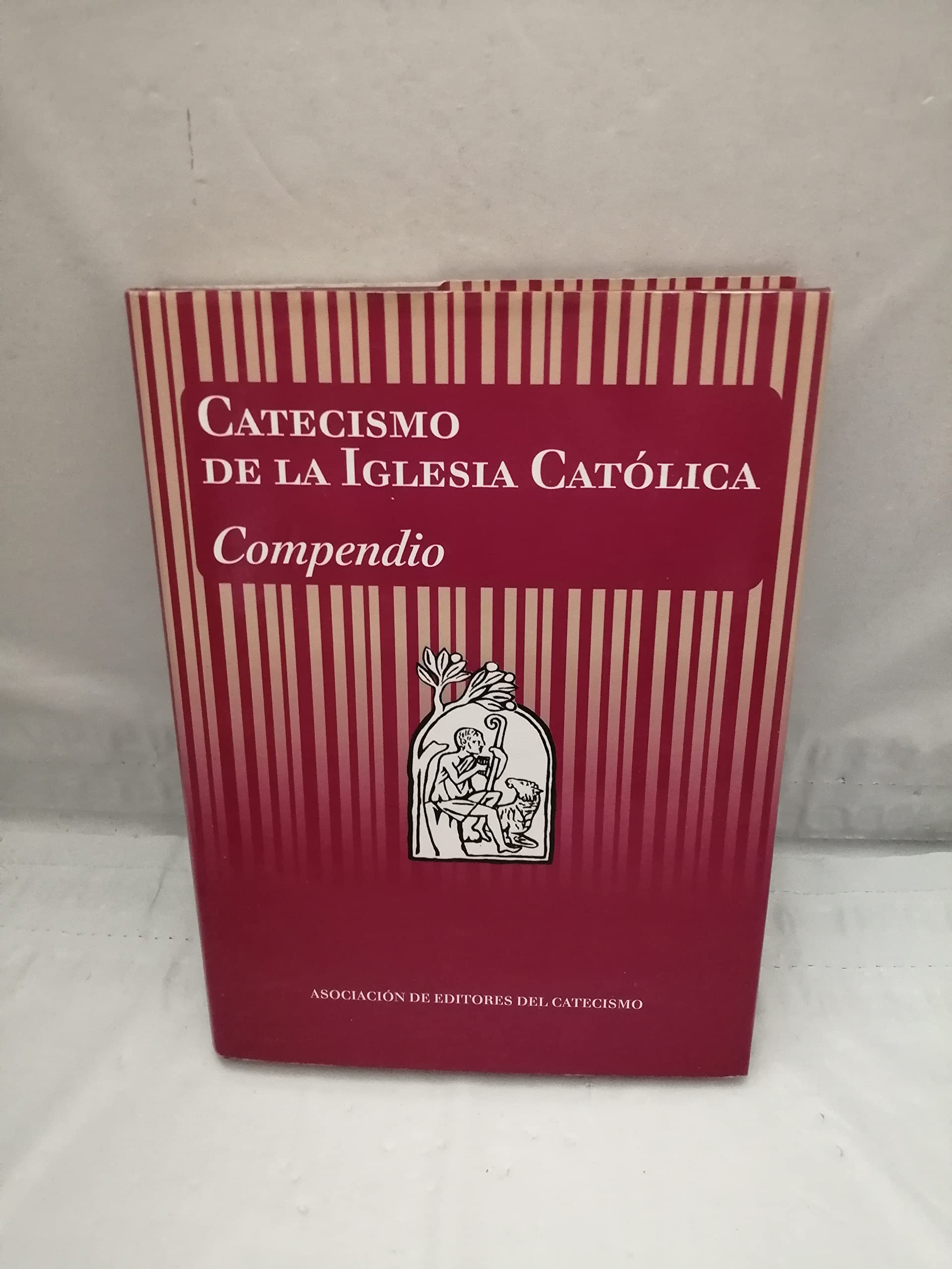 Catecismo de la Iglesia Católica. Compendio Social Sciences