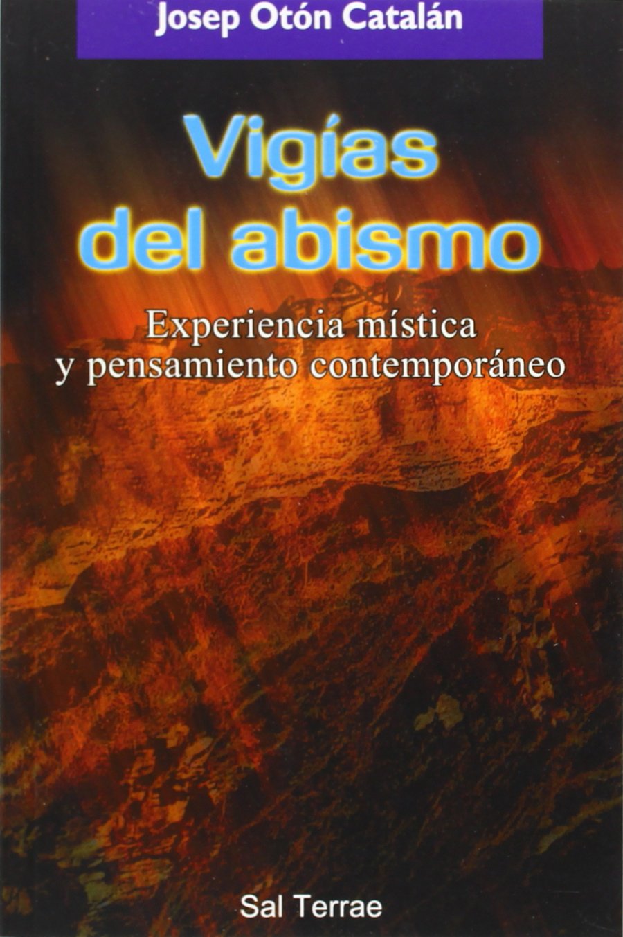 Vigías del abismo : experiencia mística y pensamiento contemporáneo (Pozo de Siquem, Band 125) Philosophy