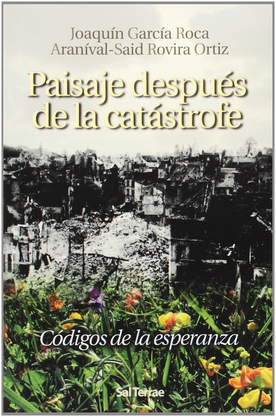 Paisaje después de la catástrofe : códigos de la esperanza (Pozo de Siquem, Band 153) Social Sciences