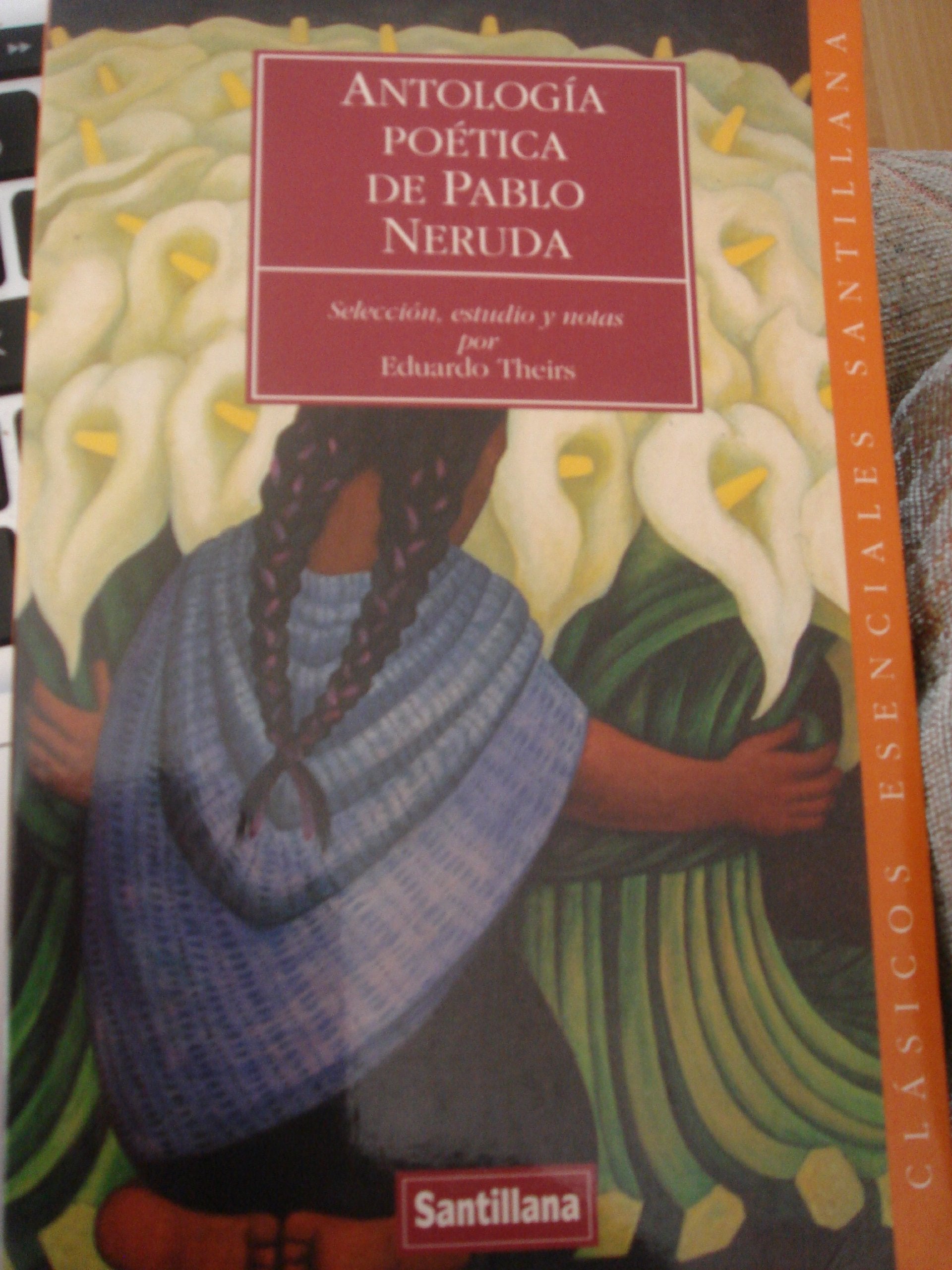 Antologia Poetica De Pablo Neruda/Poetic Anthology of Pablo Neruda book
