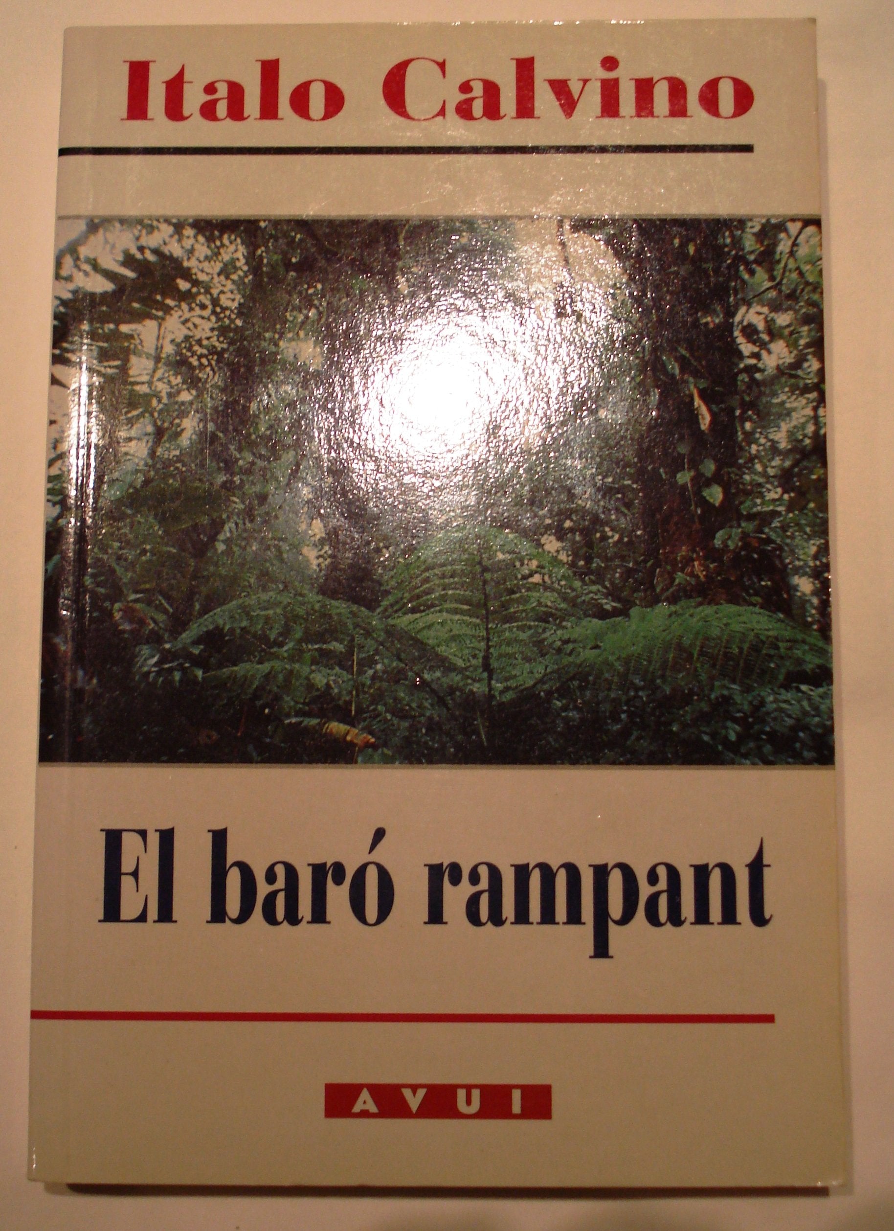 El baró rampant book