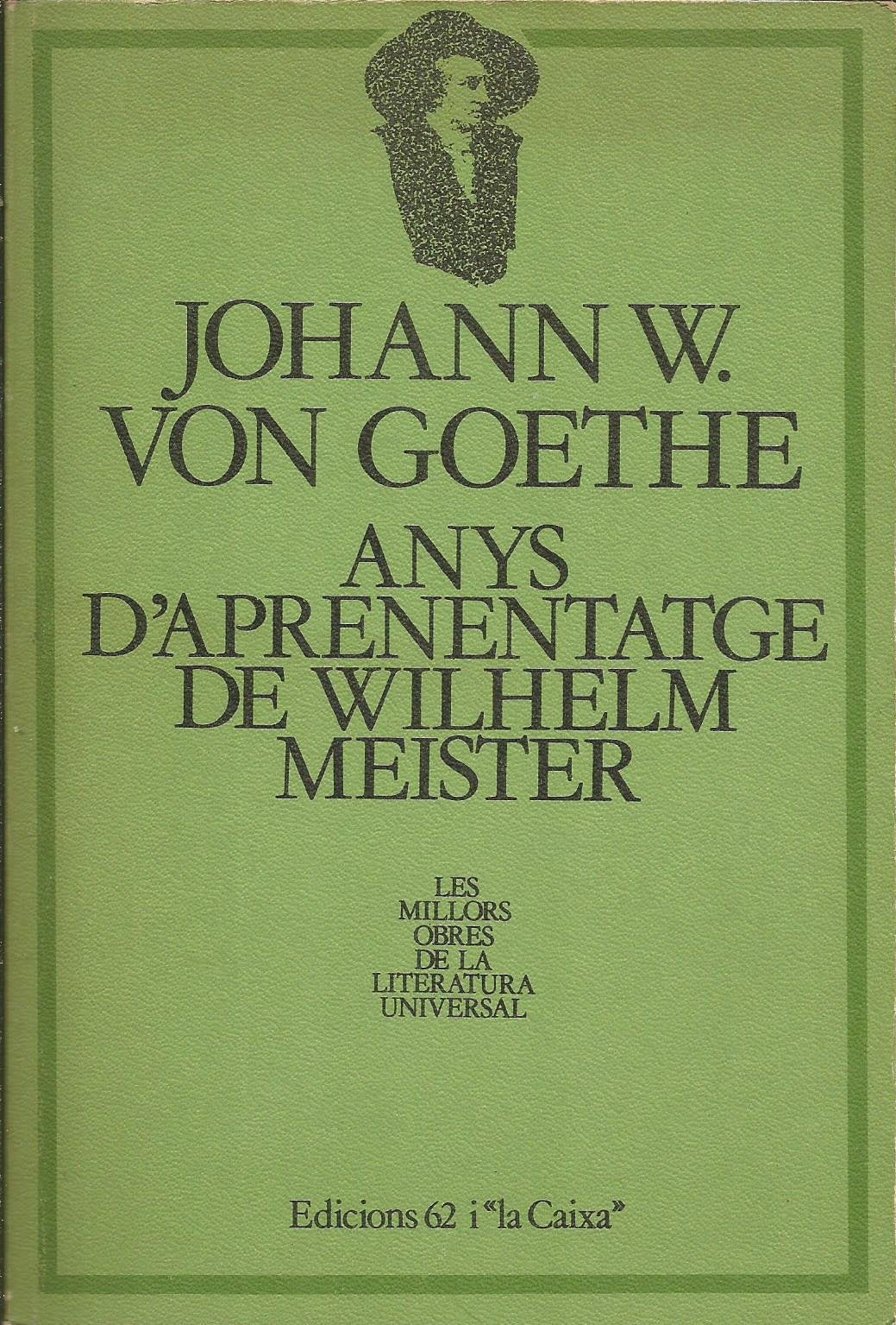 Anys d'aprenentatge (MOLU-Les Millors Obres de la L) Classics