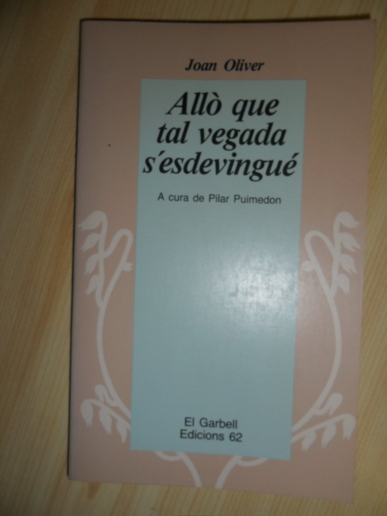 Allò que tal vegada s'esdevingué (El Garbell, Band 22) Books