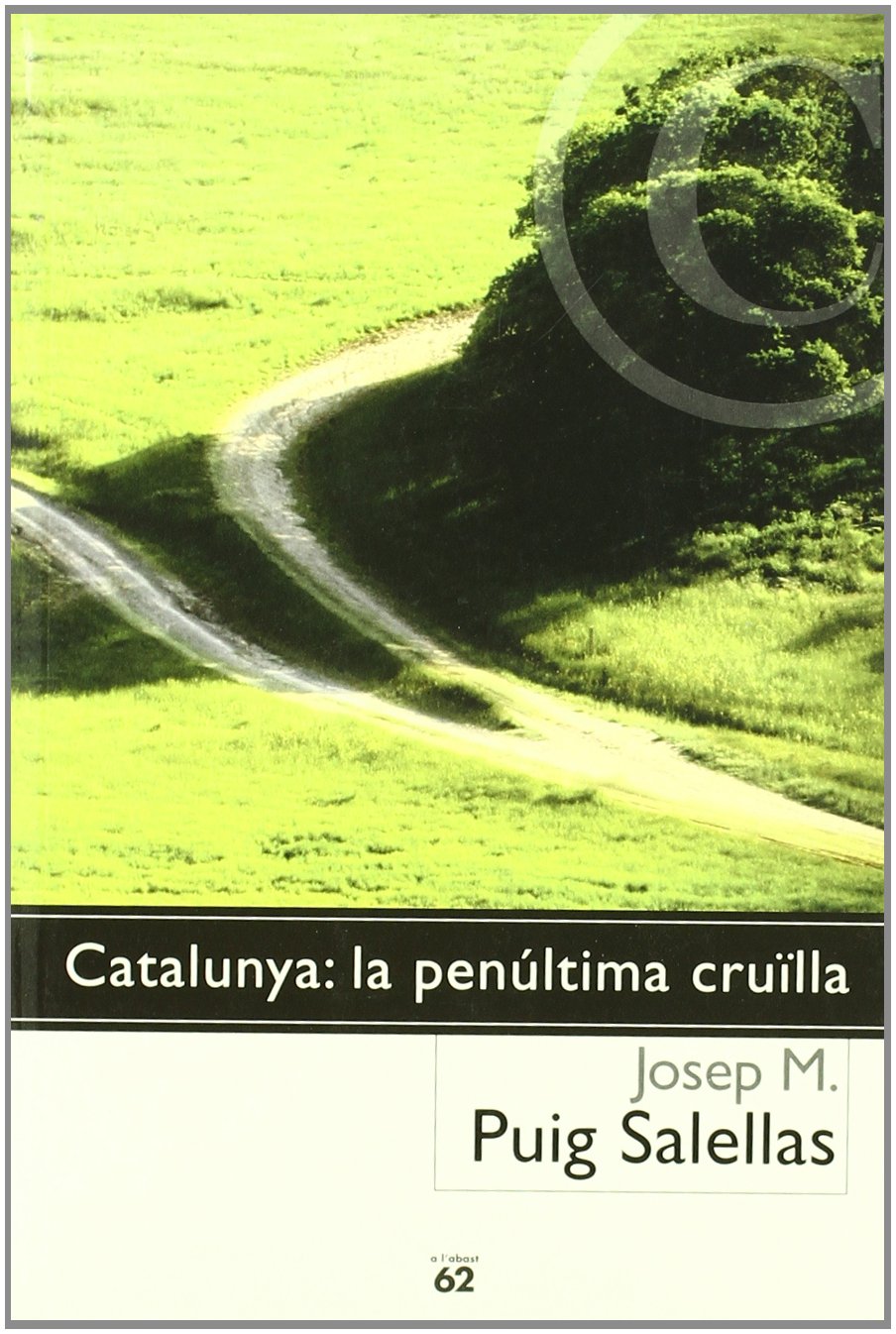 Catalunya: la penúltima cruïlla: La Penultima Cruilla (Llibres a l'Abast) Contemporary literature