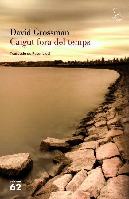 Caigut fora del temps Contemporary literature Books