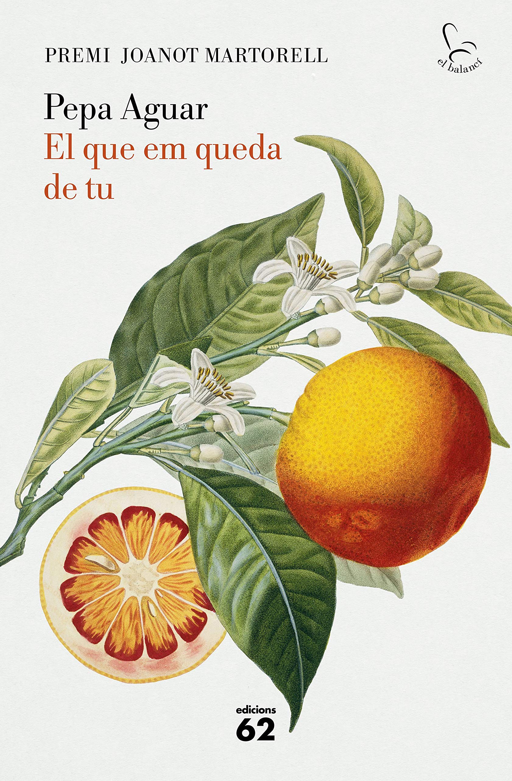 El que em queda de tu : Premi Joanot Martorell 2020 Contemporary literature