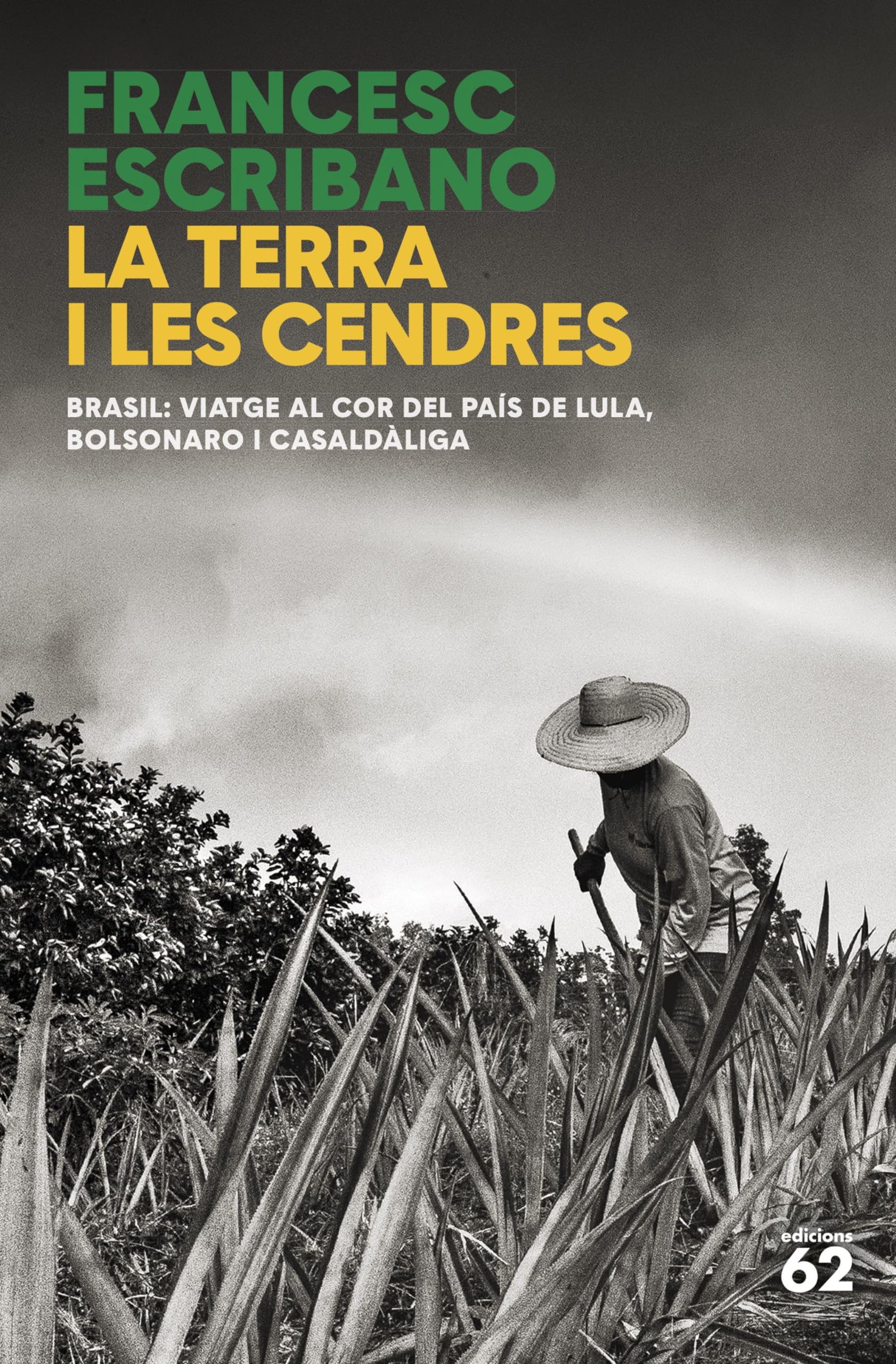 La terra i les cendres (No Ficció) Books