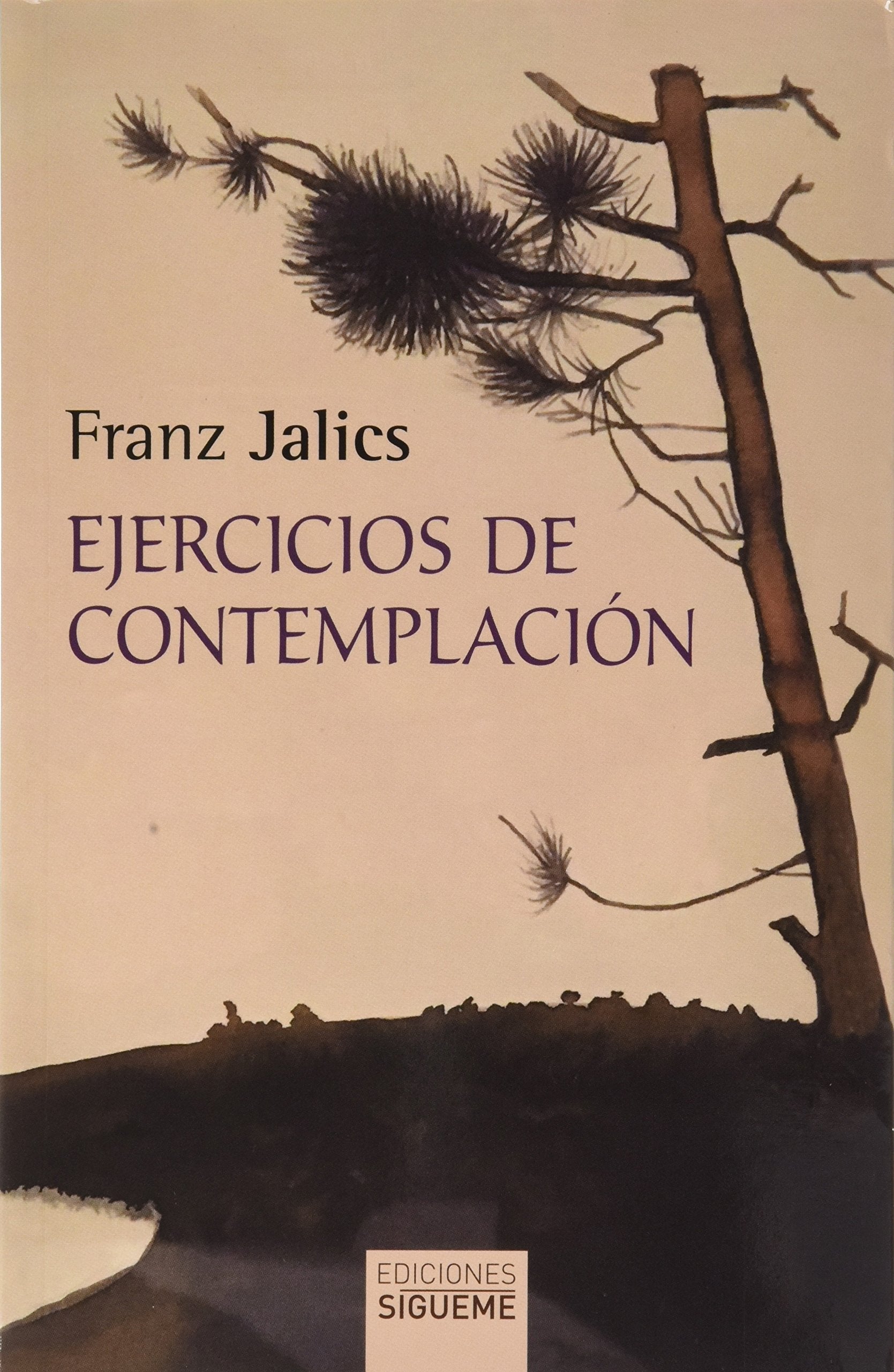 Ejercicios de contemplación : introducción a la vida contemplativa y a la invocación de Jesús (Nueva Alianza, Band 142) Religion & Esotericism