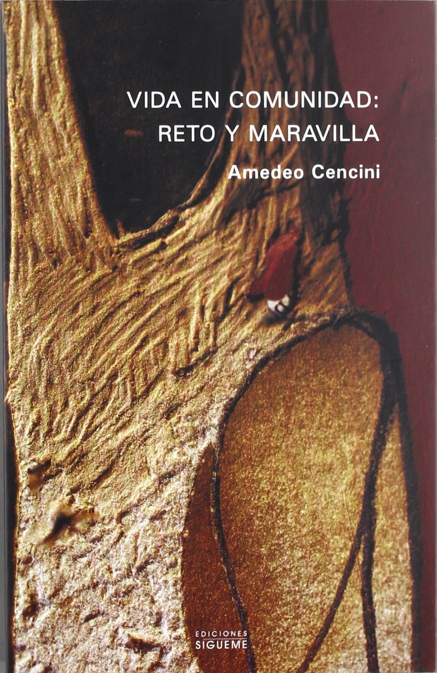 Vida en comunidad, reto y maravilla, la vida fraterna y la nueva evangelización (Nueva Alianza, Band 159) Social Sciences