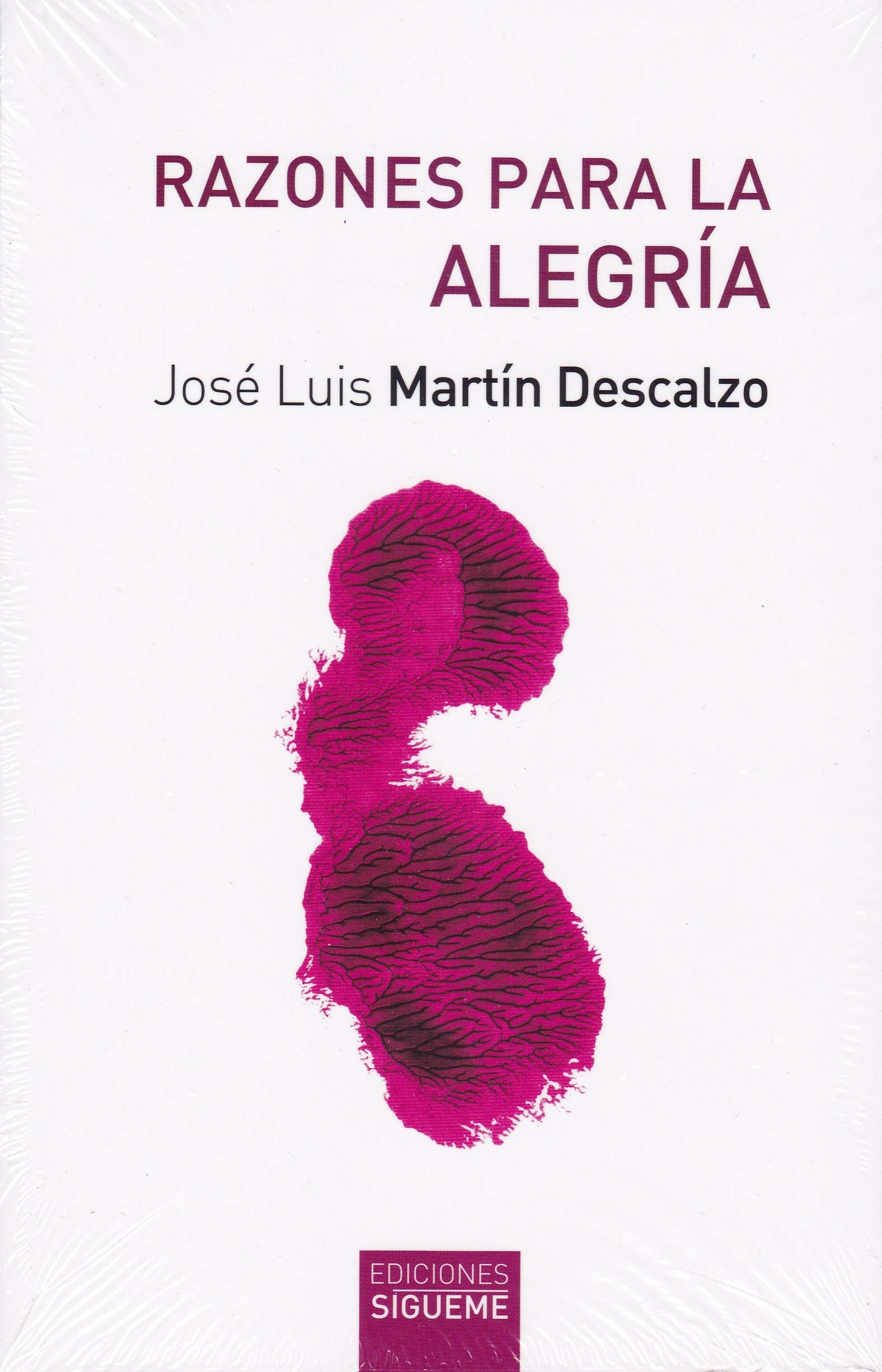 Razones para la alegría (Nueva Alianza, Band 166) Religion & Esotericism