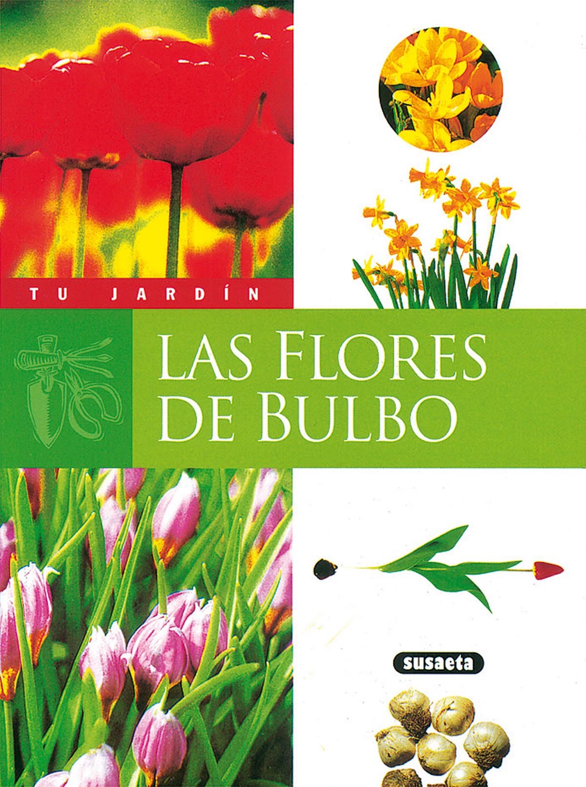 Flores de bulbo book