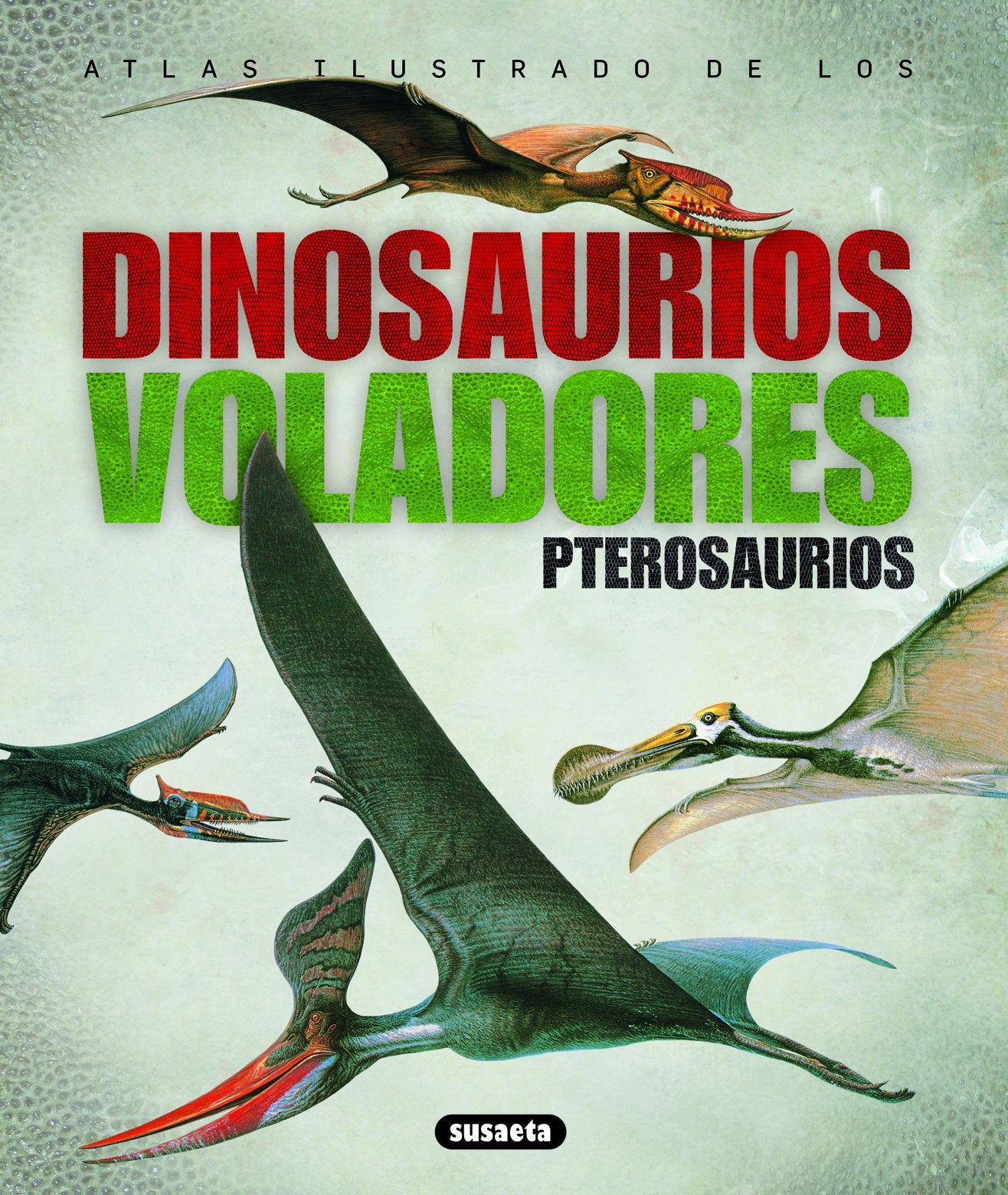 Atlas ilustrado de los dierosaurios book