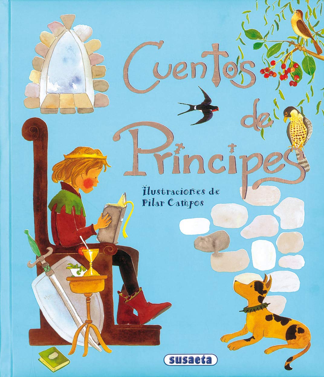 Cuentos de principes / Stories of princes book