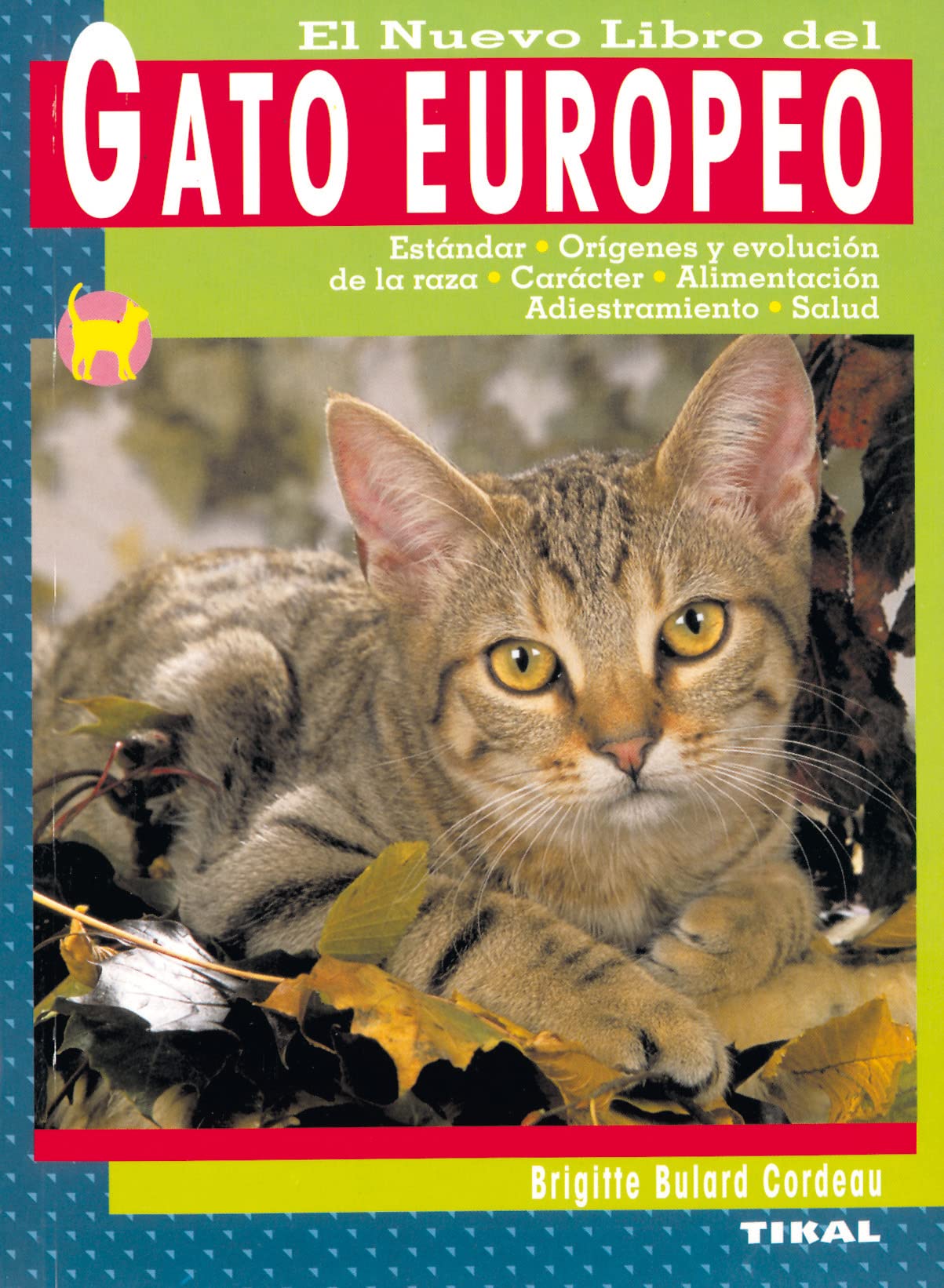 Gato europeo book