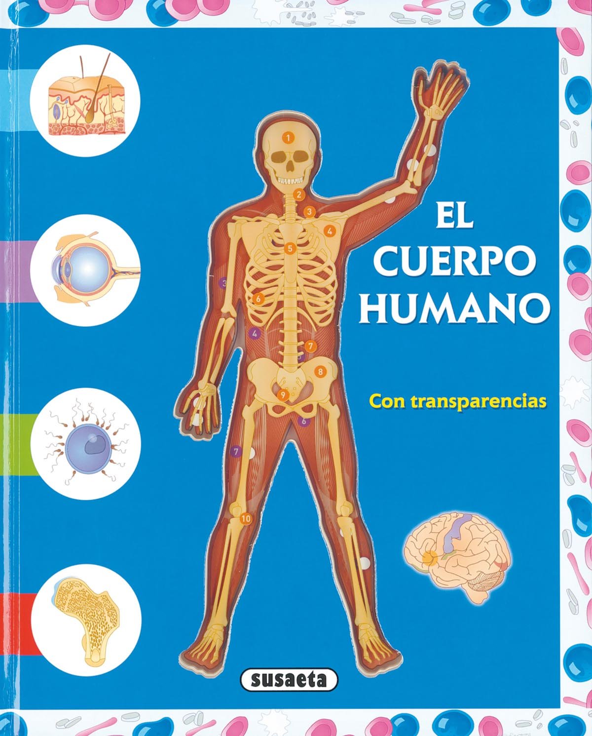 El Cuerpo Humano con transparencias Social Sciences